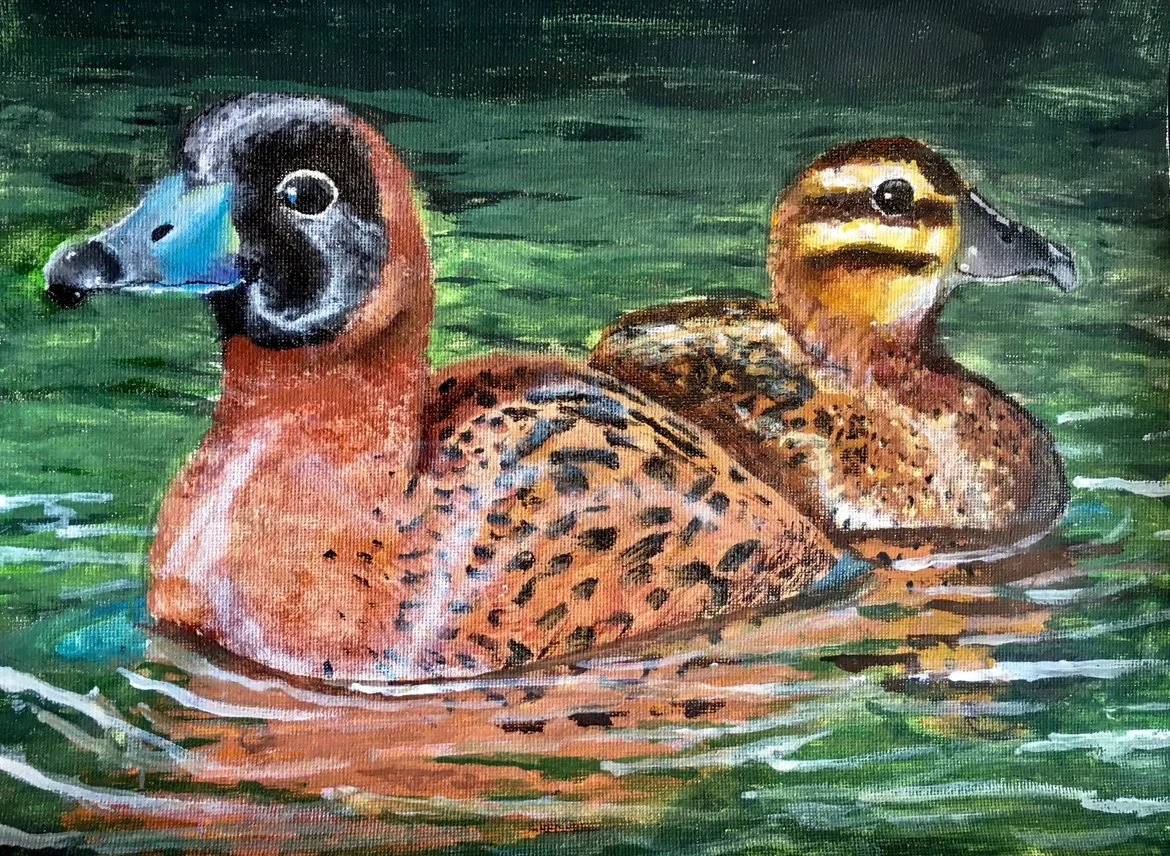 Art student: Joshua Lee, age 11. Third Place in 2019 Federal Junior Duck Stamp Contest.