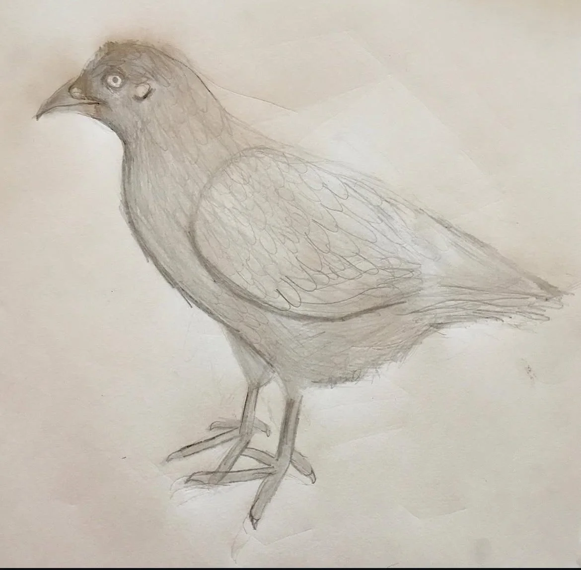 Art student: Caleb Lee, age 10