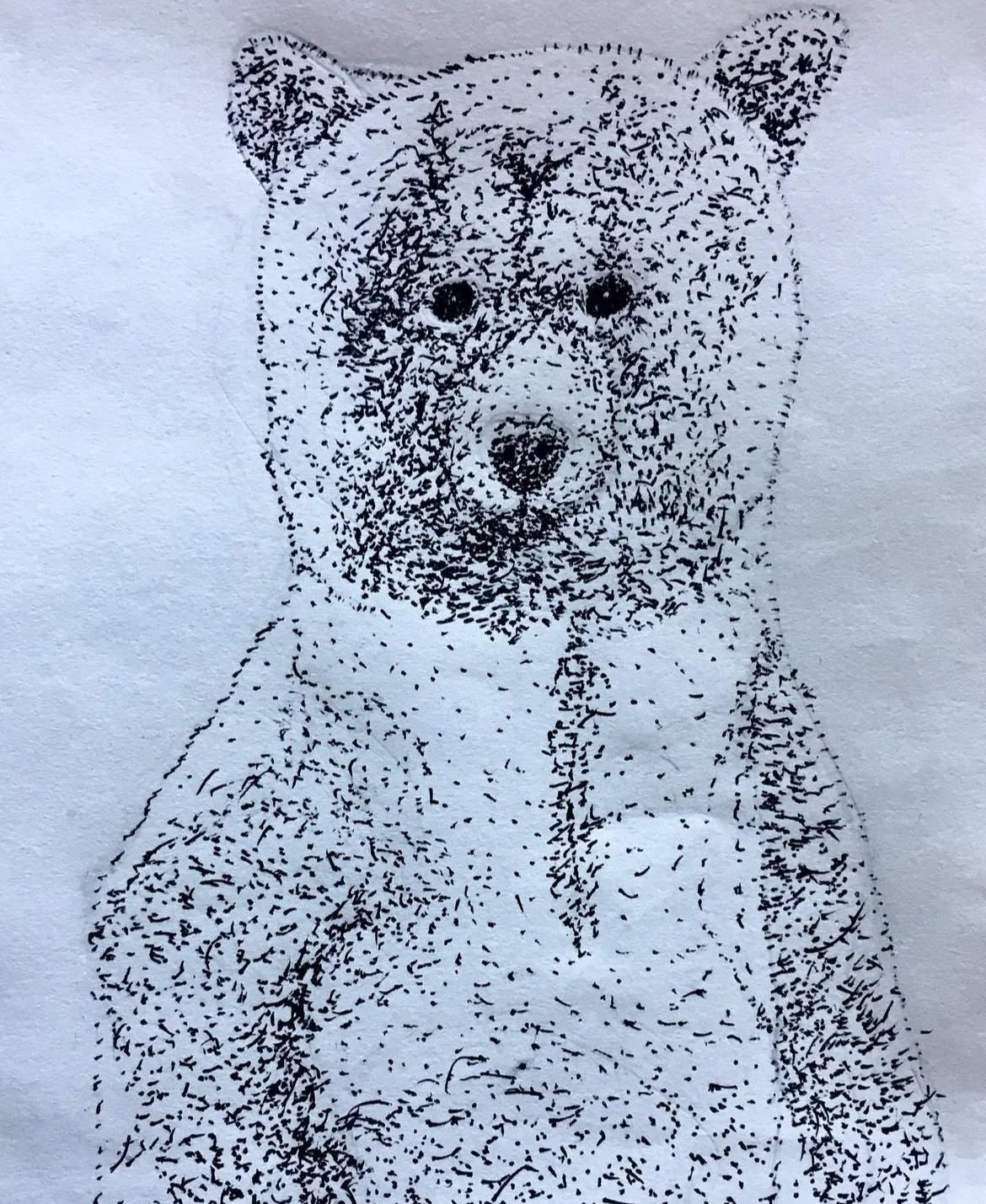 Art student: Caleb Lee, age 9