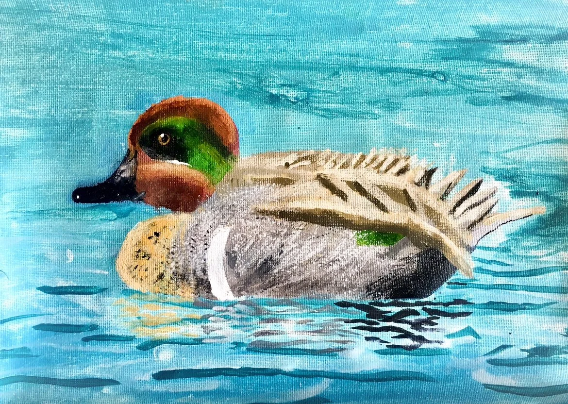 Art student: Caleb Lee, age 7. Honorable Mention in 2019 Federal Junior Duck Stamp Contest.