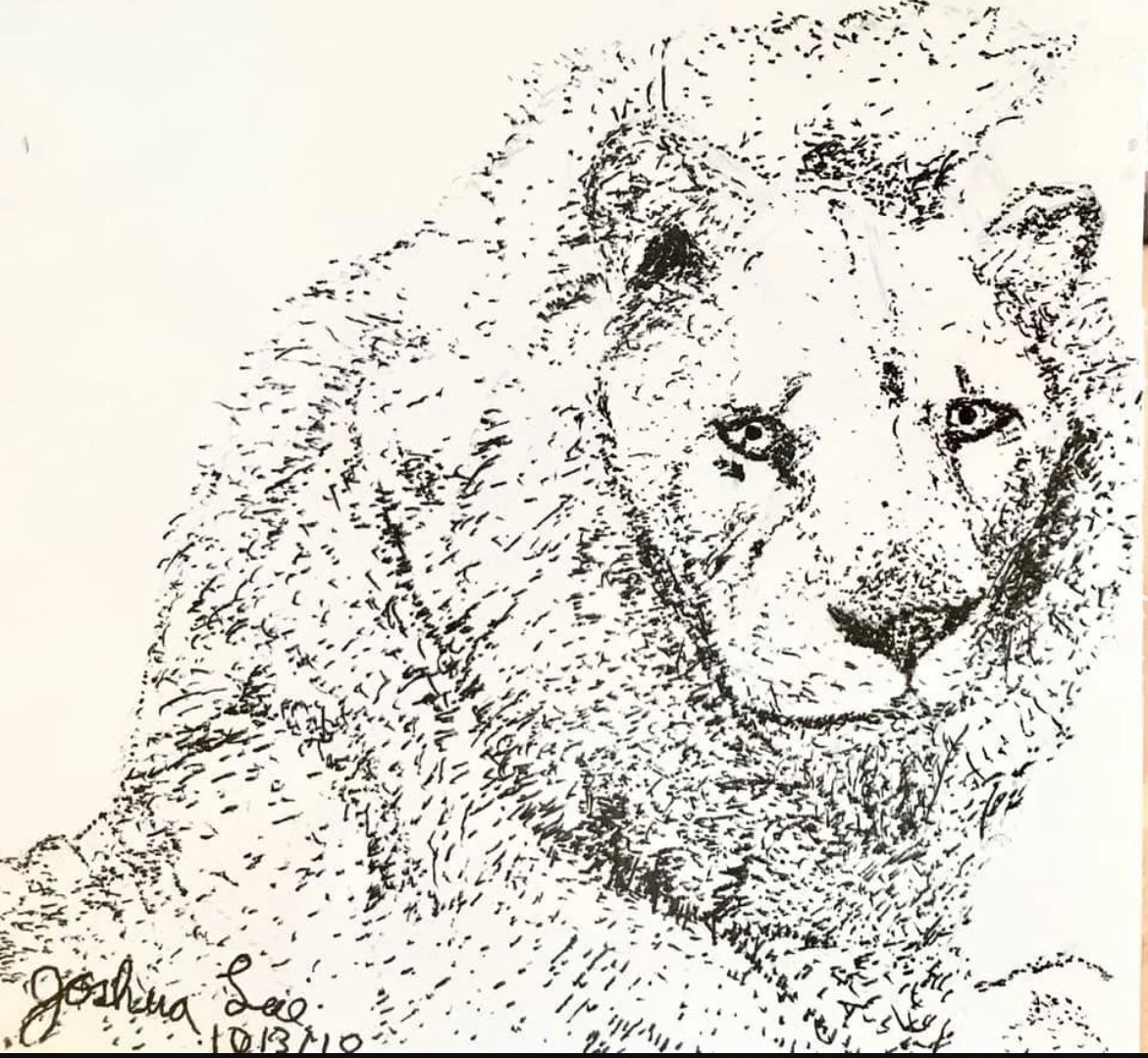 Art student: Joshua Lee, age 10