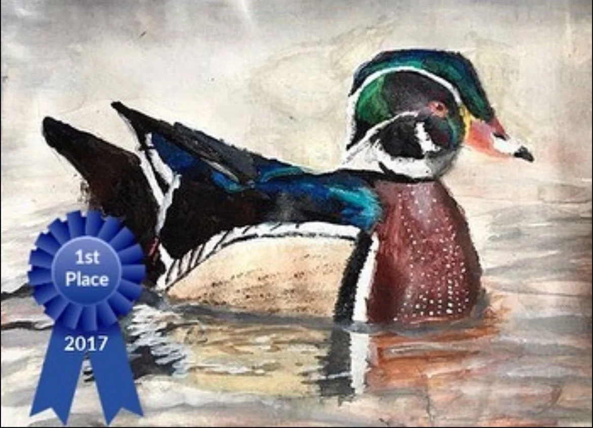 Art student: Joshua Lee, age 9. First Place in 2017 Federal Junior Duck Stamp Contest.