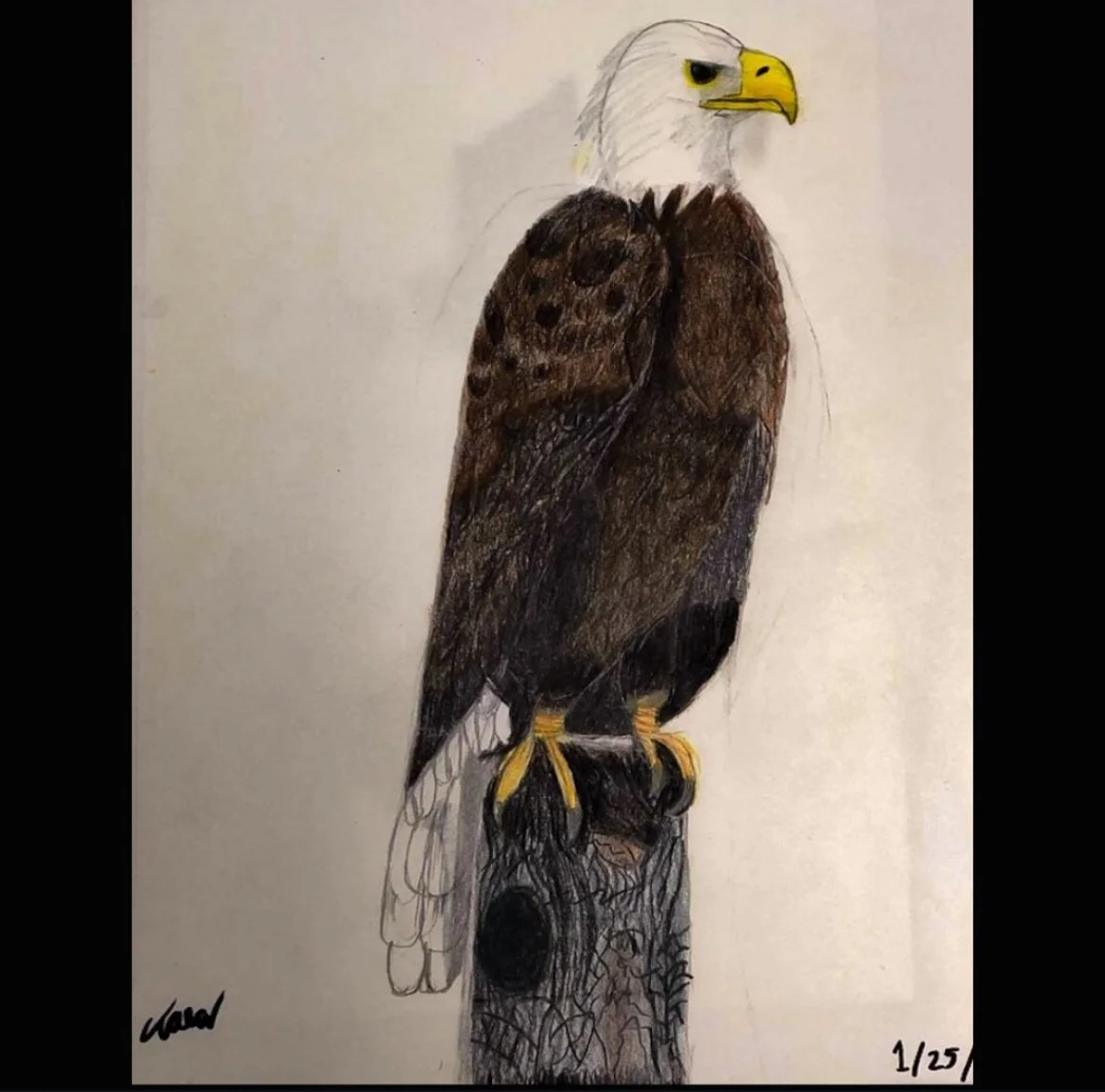 Art student: Talon Hairston, age 13