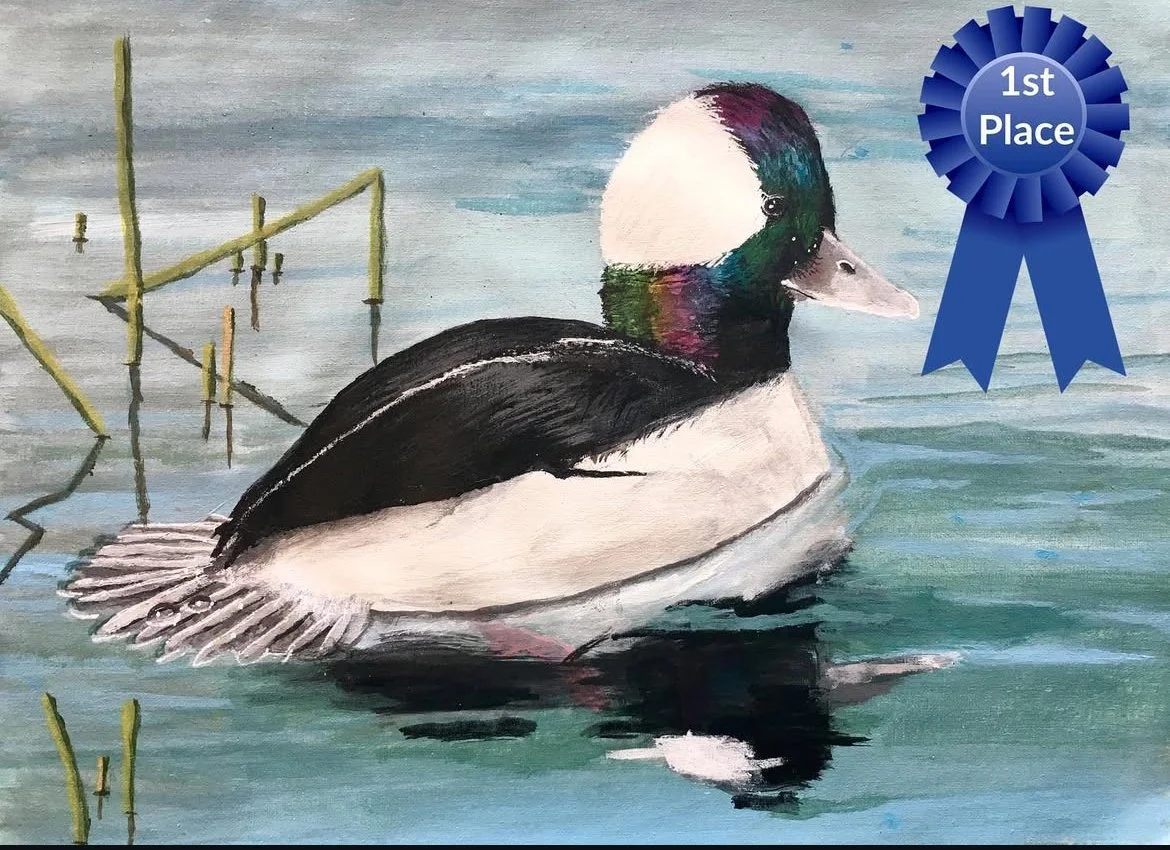 Art student: Caleb Lee, age 10. First Place in Federal Junior Duck Stamp Contest.