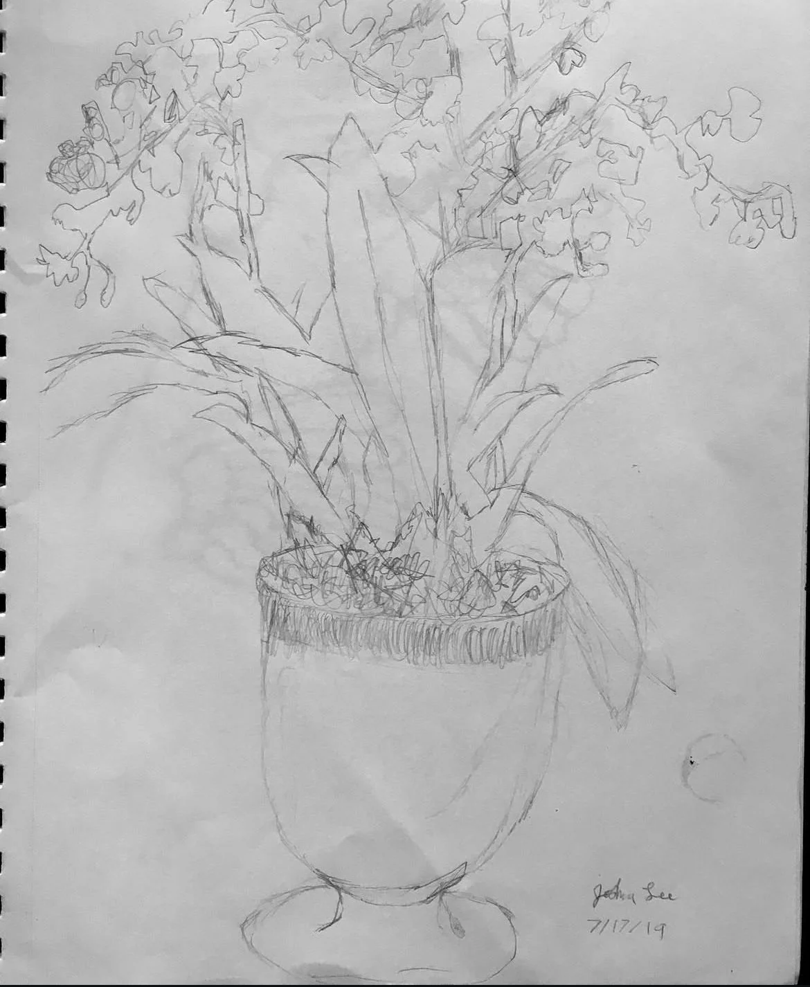 Art student: Joshua Lee, age 11