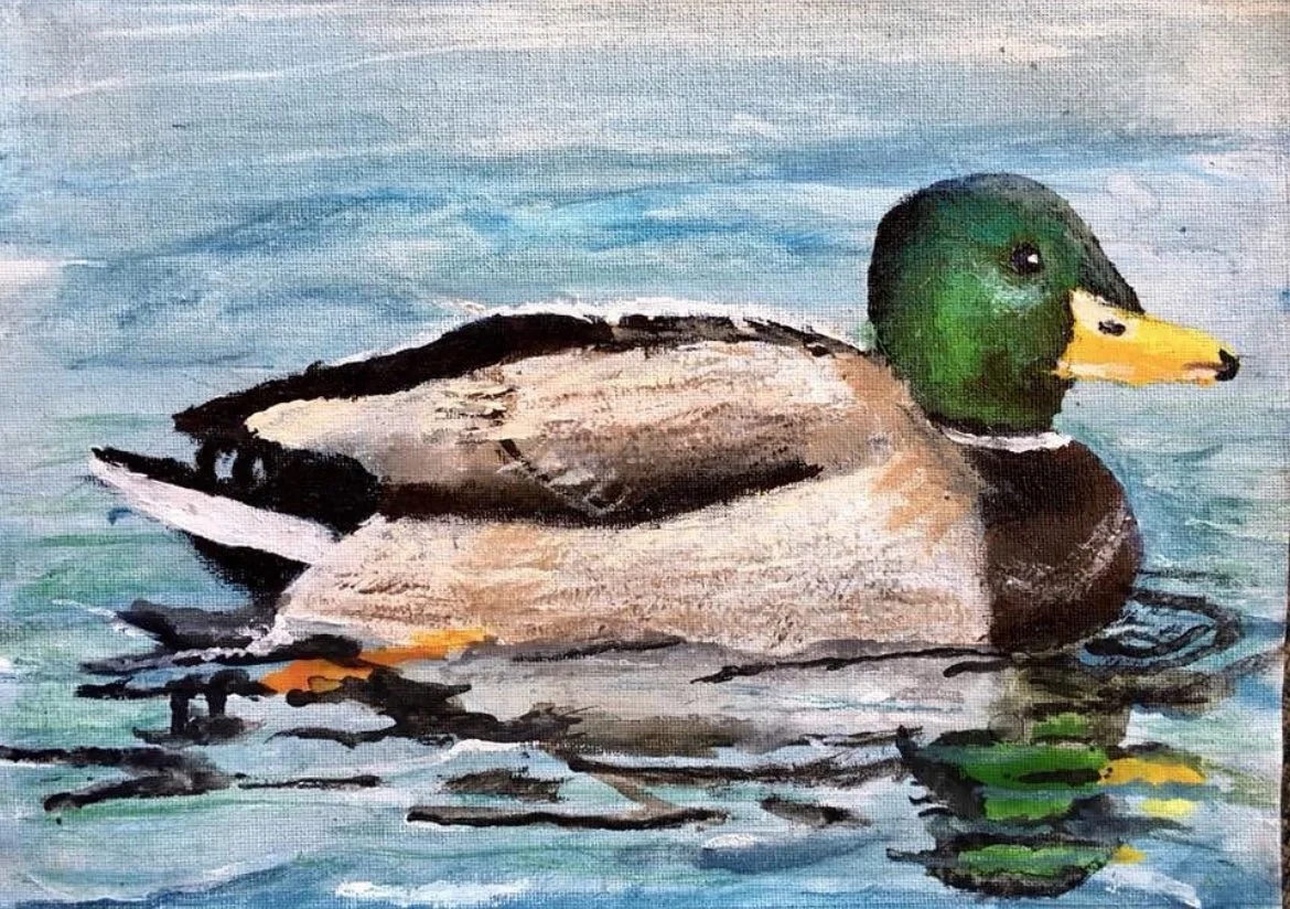 Art student: Caleb Lee, age 8. First Place in 2018 Federal Junior Duck Stamp Contest.