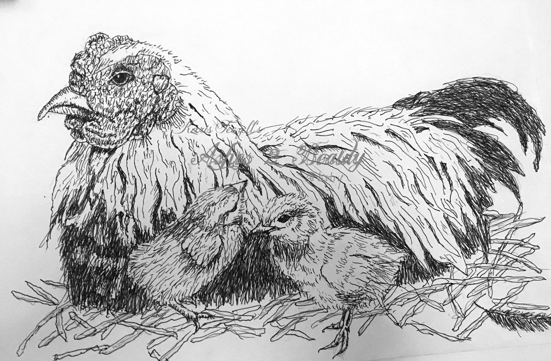  
 Mother Hen 
  Pen on paper. 
 
 
 2011 
 