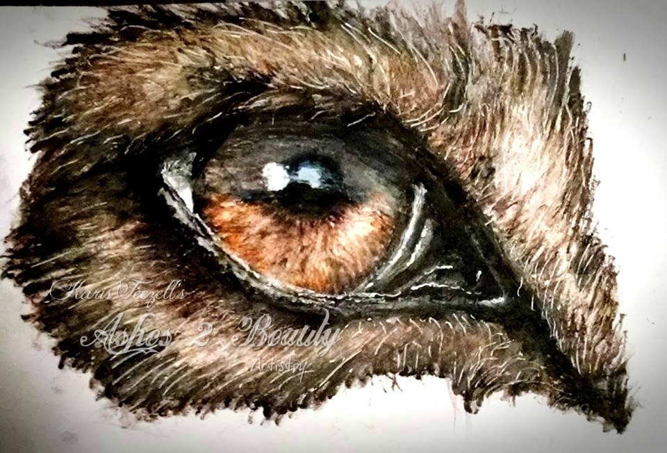  
 Wolf Eye 
  9x12" watercolor pencils on paper. 
 
 
 May 26, 2015 
 