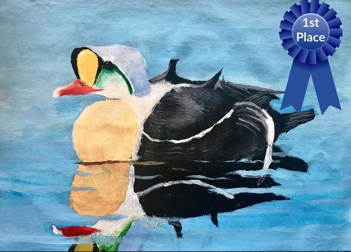 Art student: Noah Lee, age 8. First Place in Federal Junior Duck Stamp Contest.