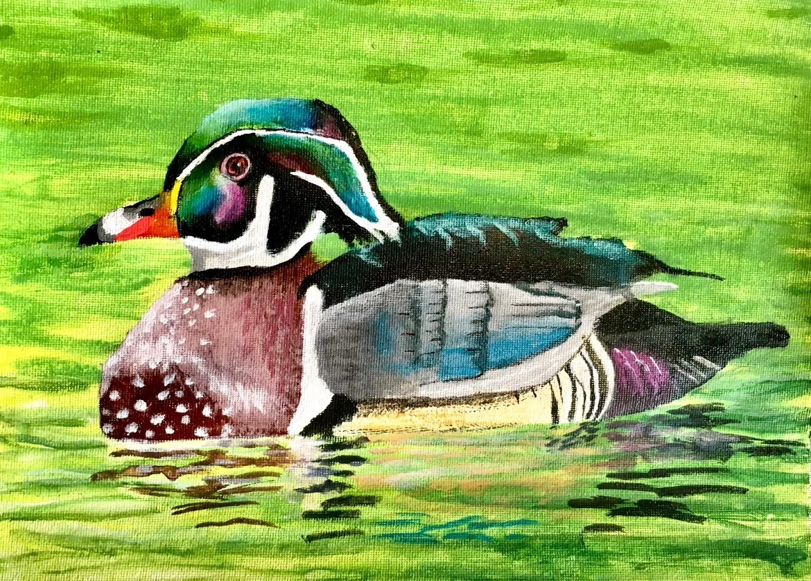 Art student: Caleb Lee, age 9. First Place in 2019 Federal Junior Duck Stamp Contest.