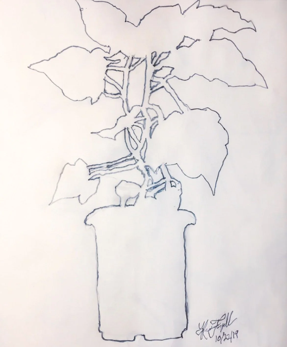 Negative Space study