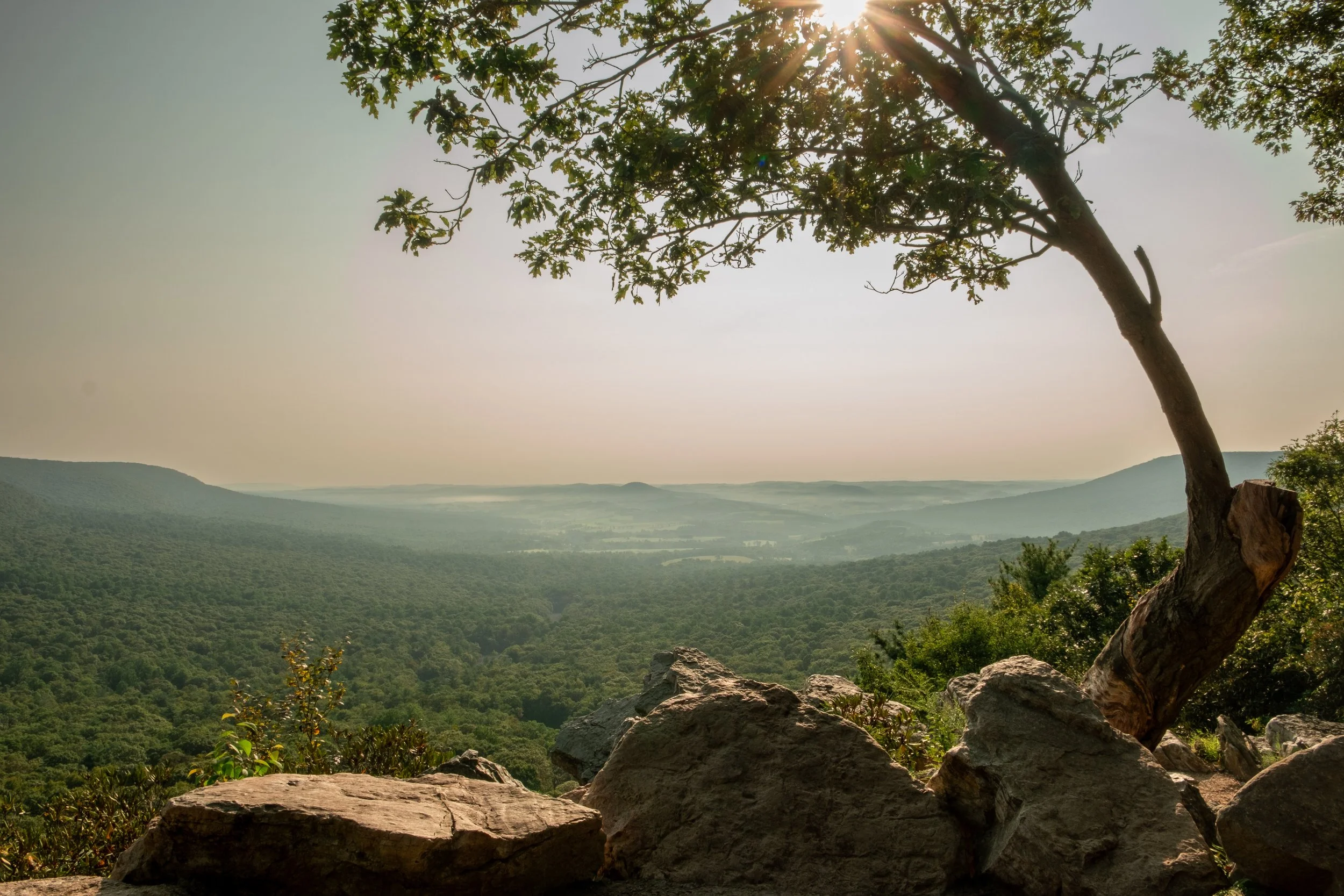 Hawk Mountain overlook