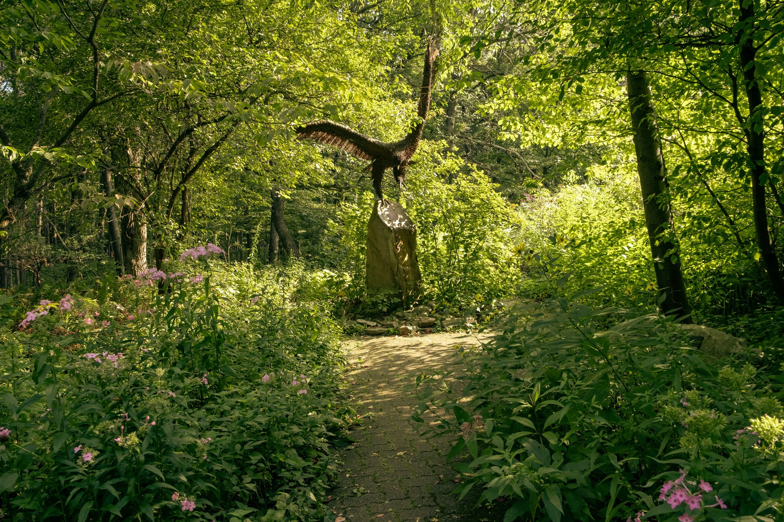 Hawk Mountain trail