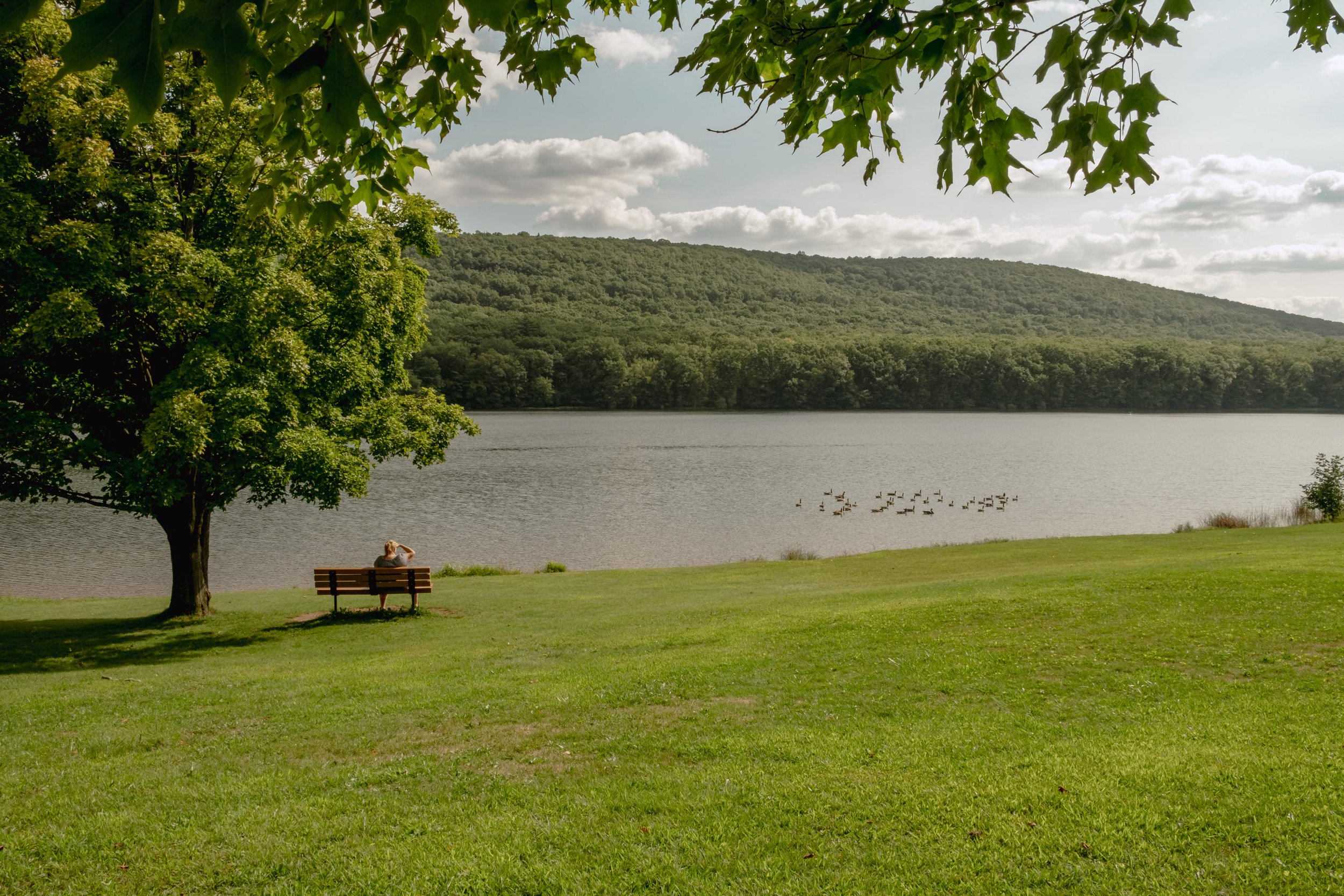 Locust Lake view