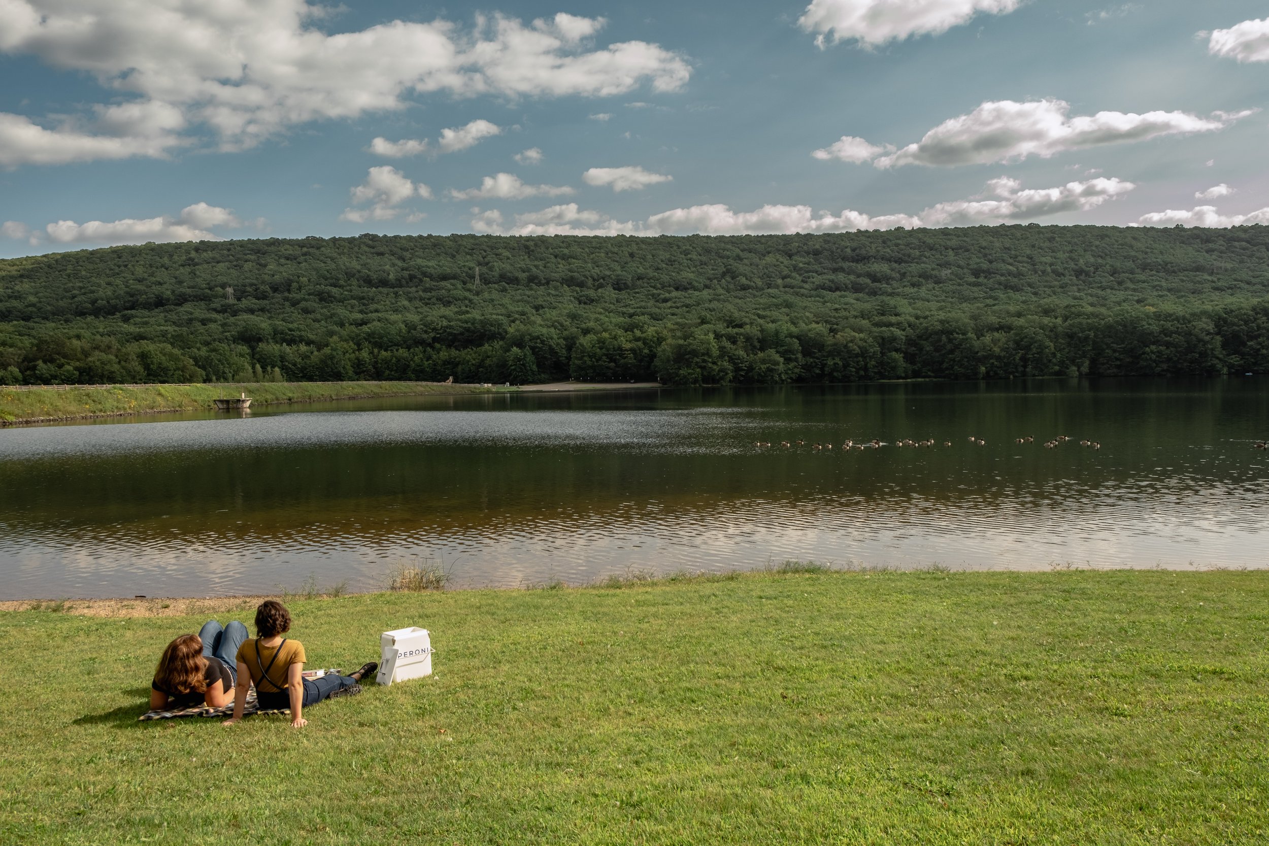 Locust Lake view
