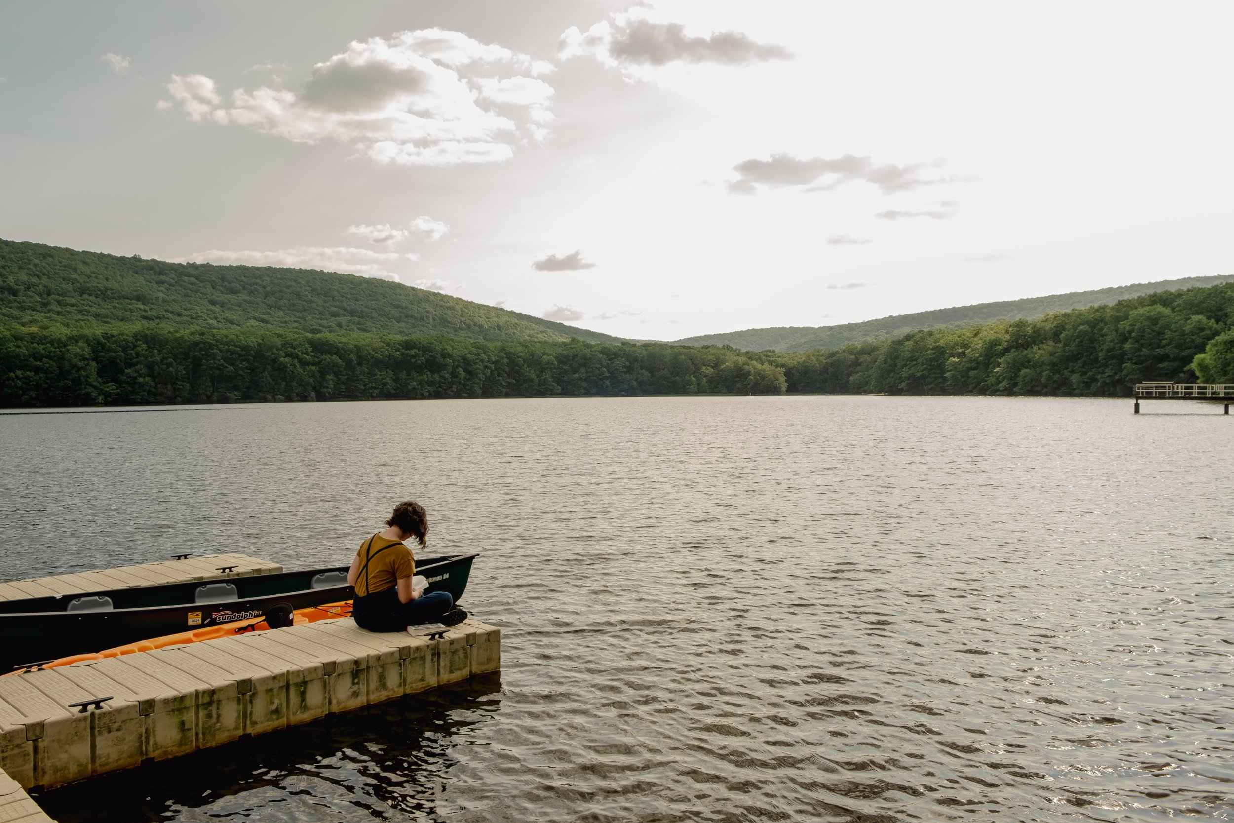 Locust Lake view