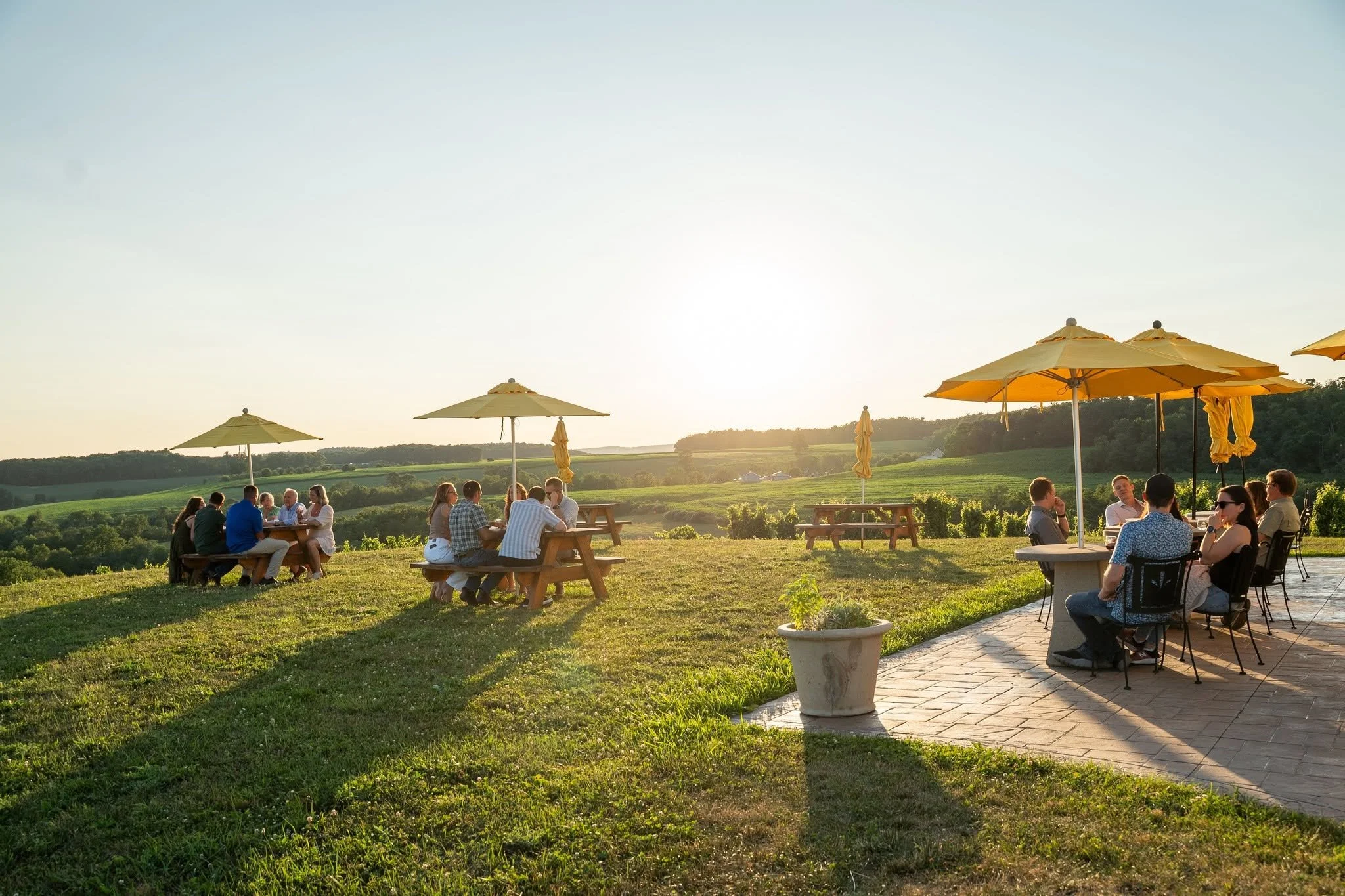 Galen Glen tasting room view