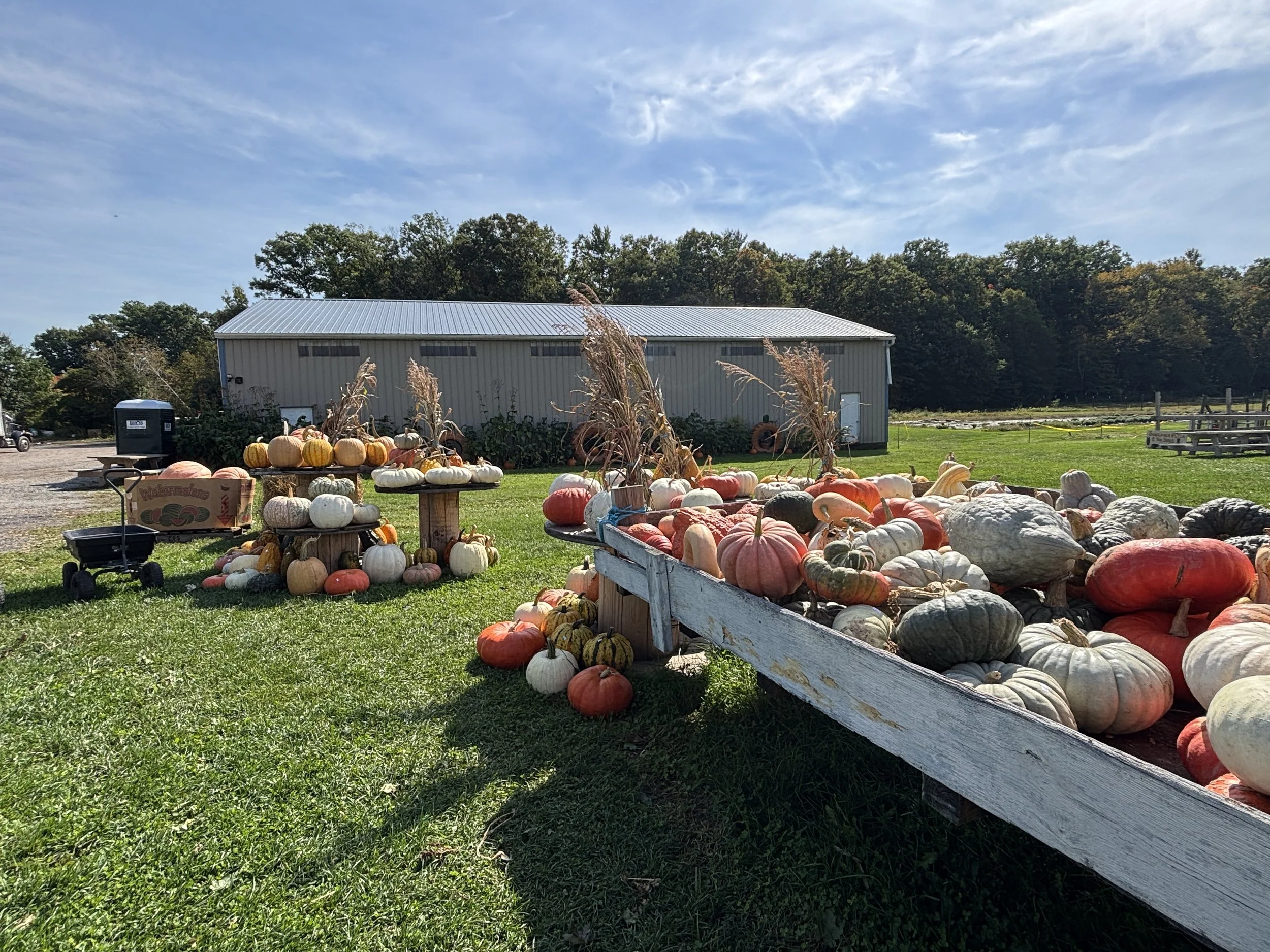 J &amp; L Shafer Farm Pumpkins