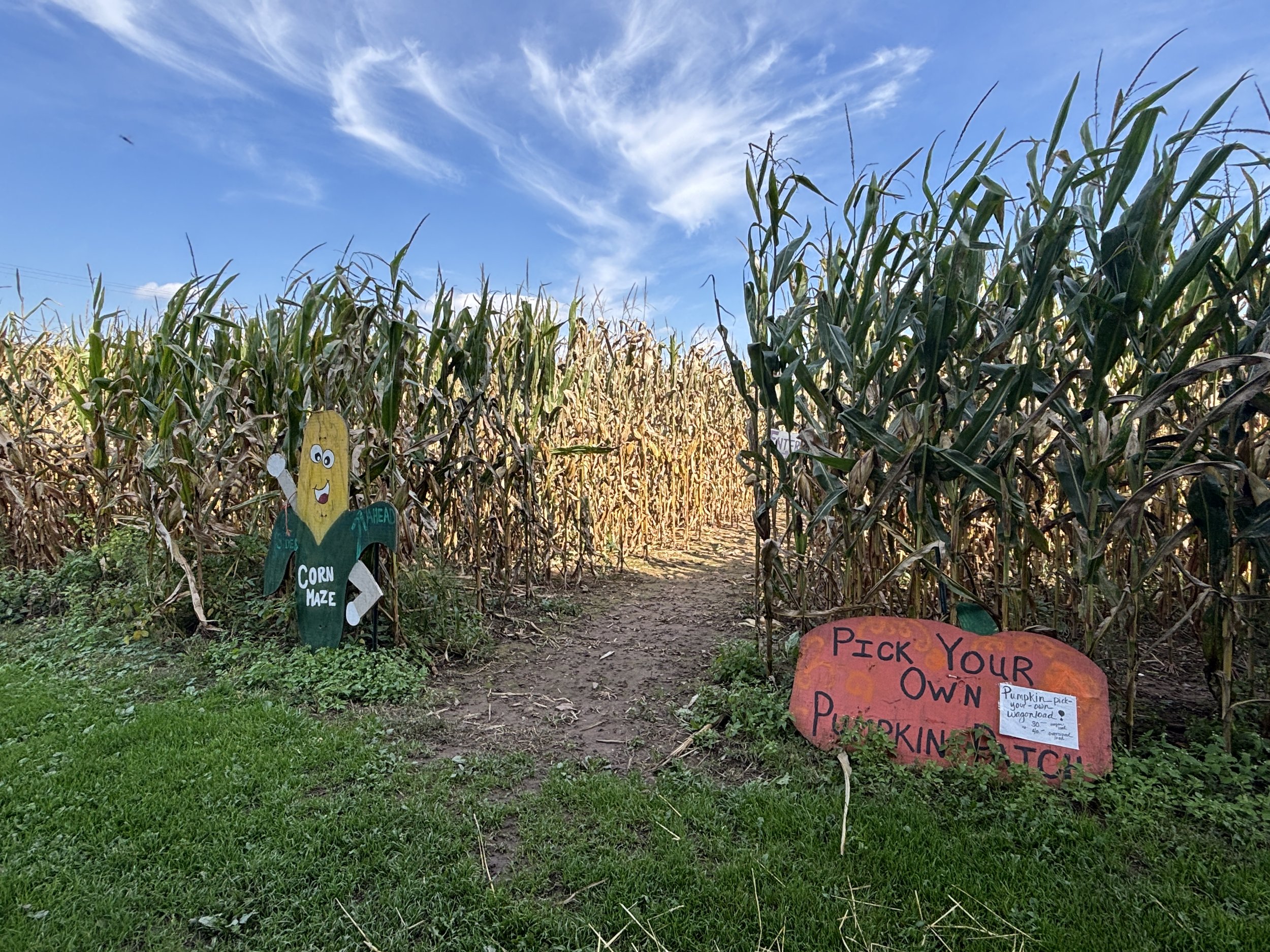 J &amp; L Shafer Farm Corn Maze