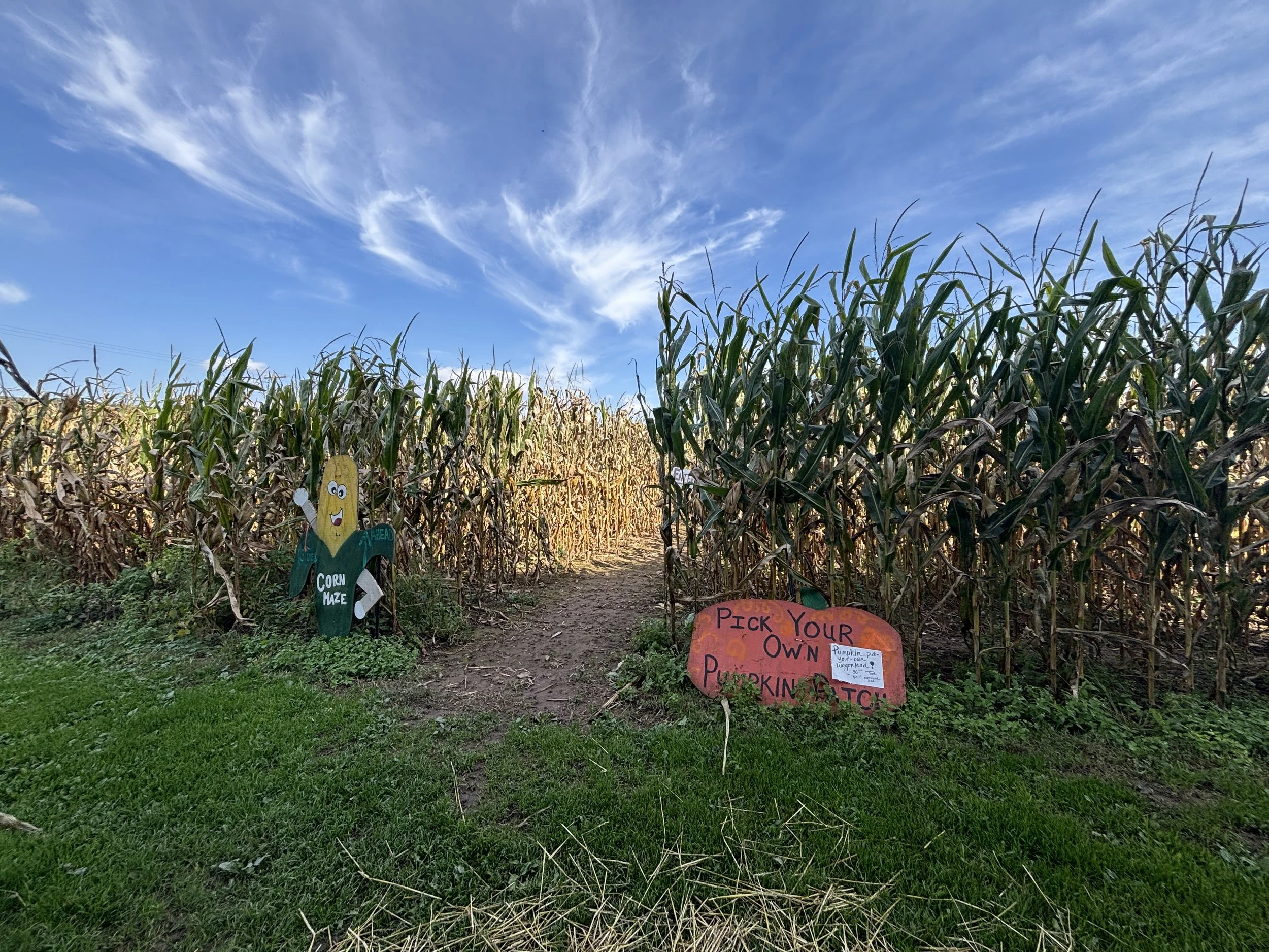 J &amp; L Shafer Farm Corn Maze