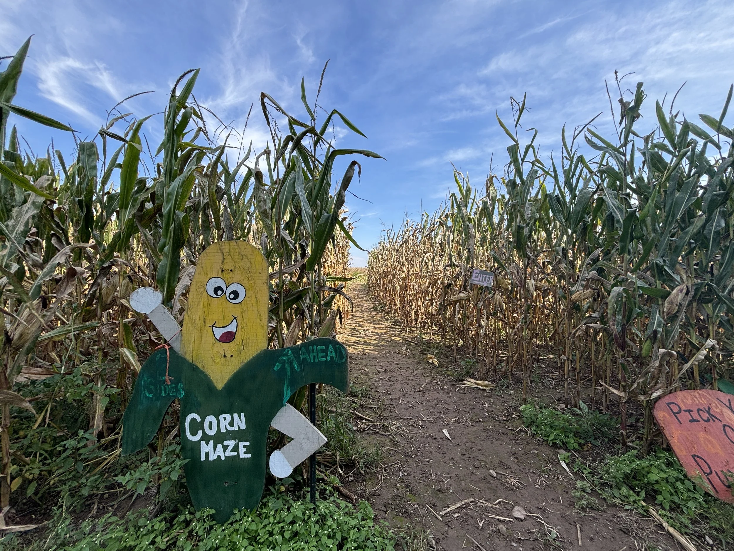 J &amp; L Shafer Farm Corn Maze