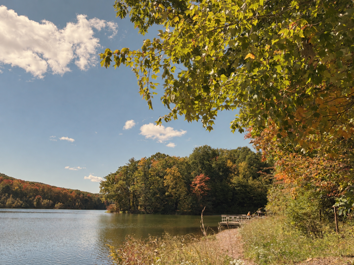 Tuscarora State Park in early fall