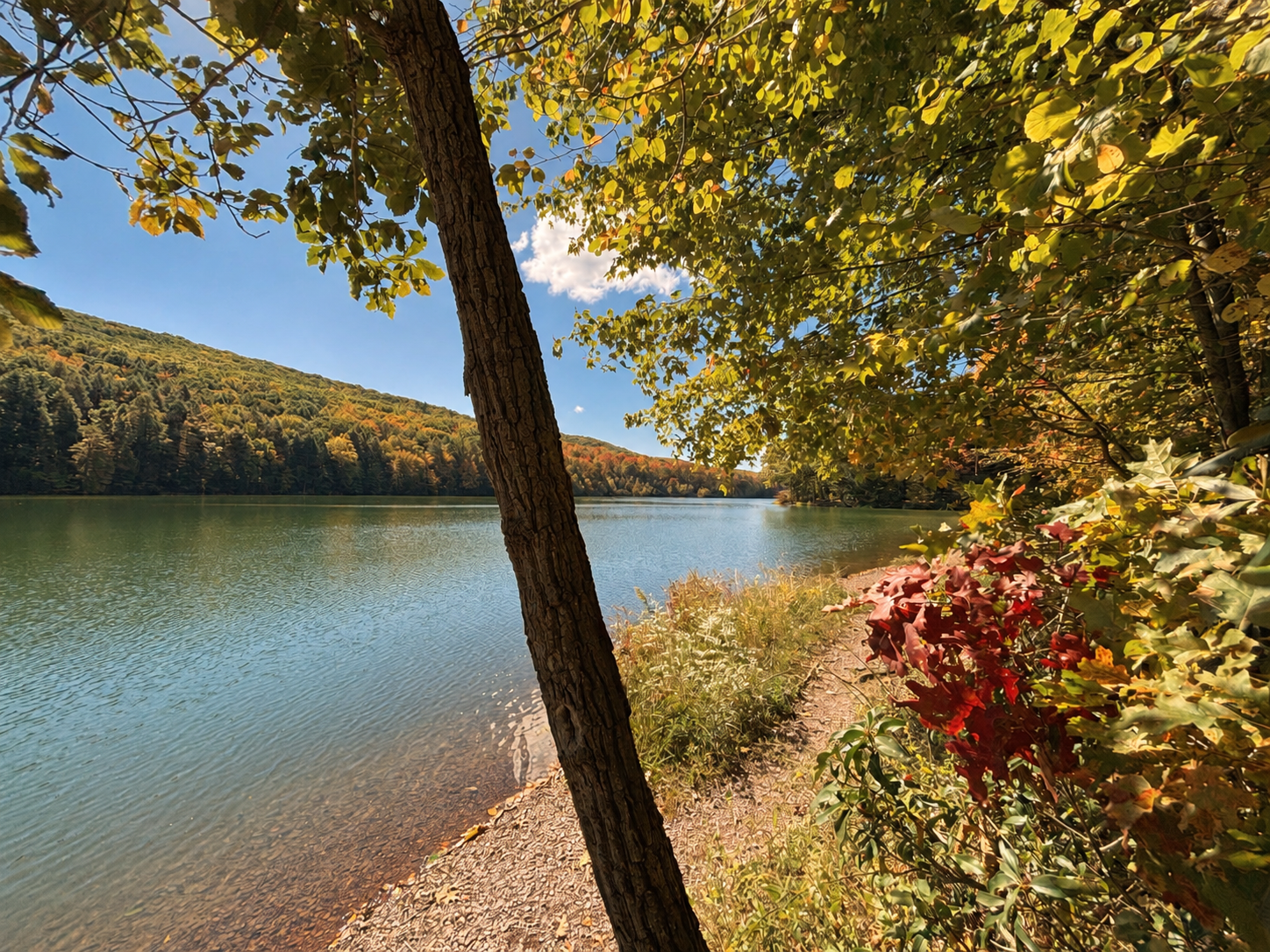 Tuscarora State Park in early fall