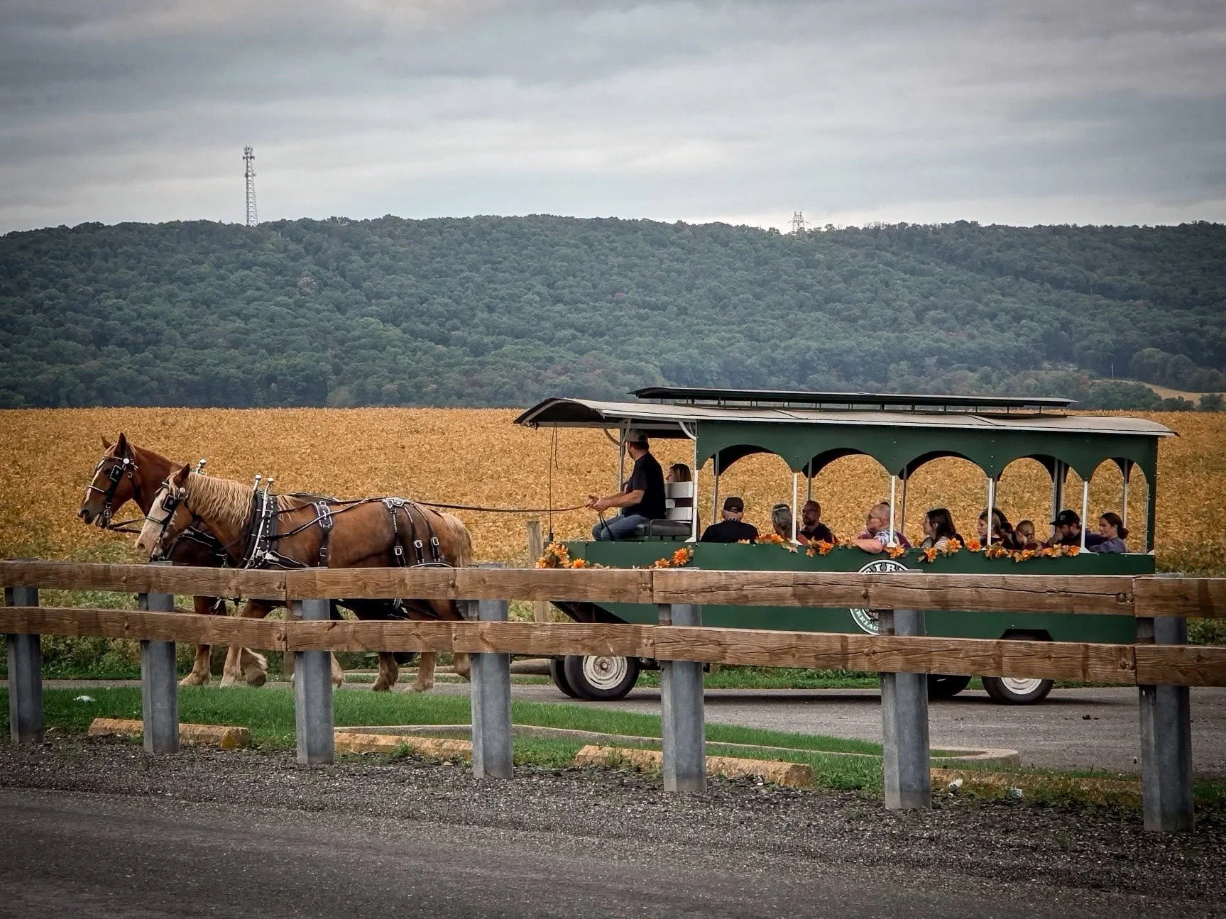 Horse drawn carriage ride at Heisler's Creamery