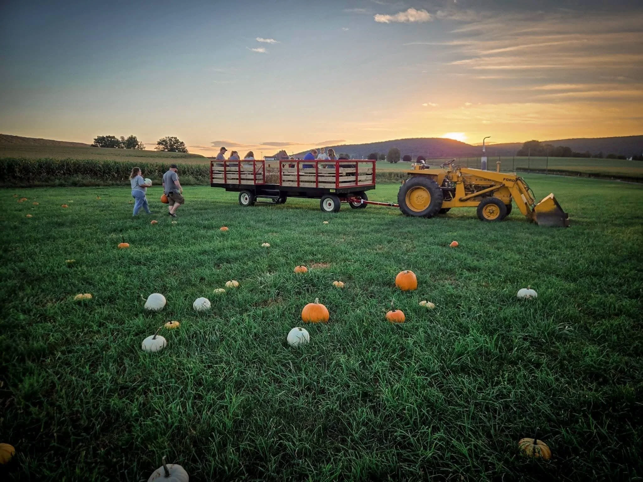 Pumpkin patch and hayride at Heisler's Creamery