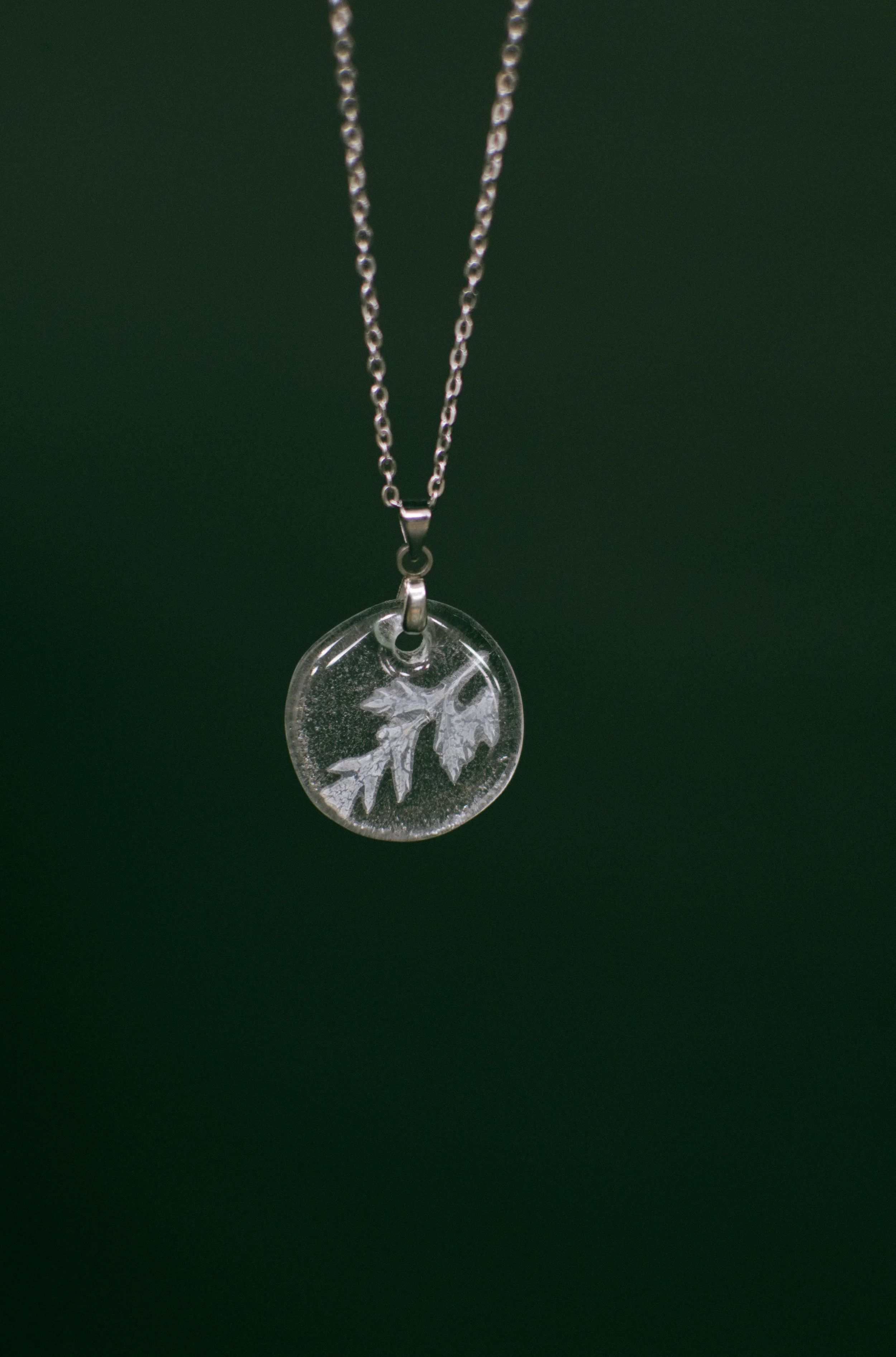 Plantiful pendant // 01