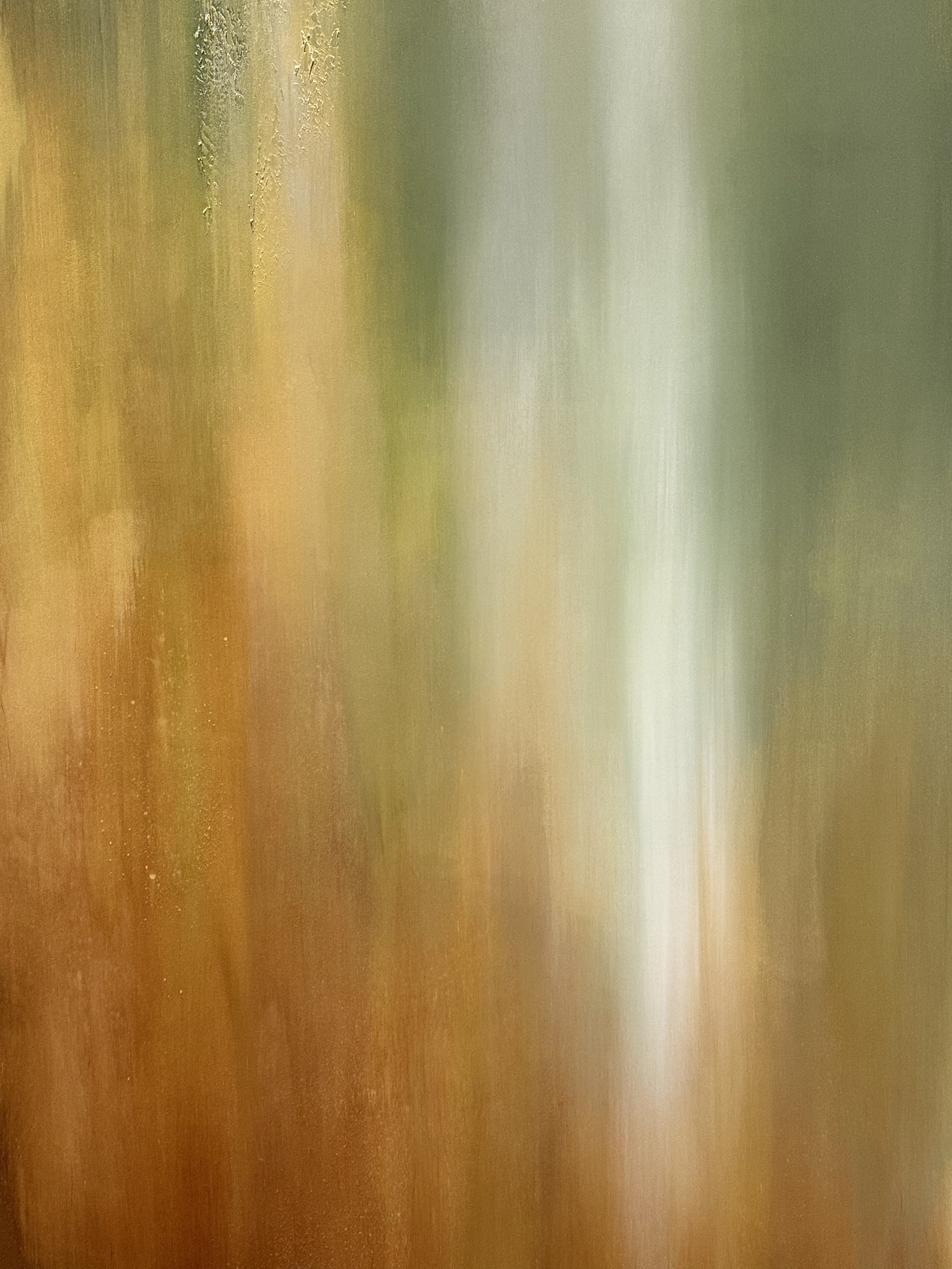 1A4D4478-C0AF-4F65-A97C-B394B4D1D057.jpeg