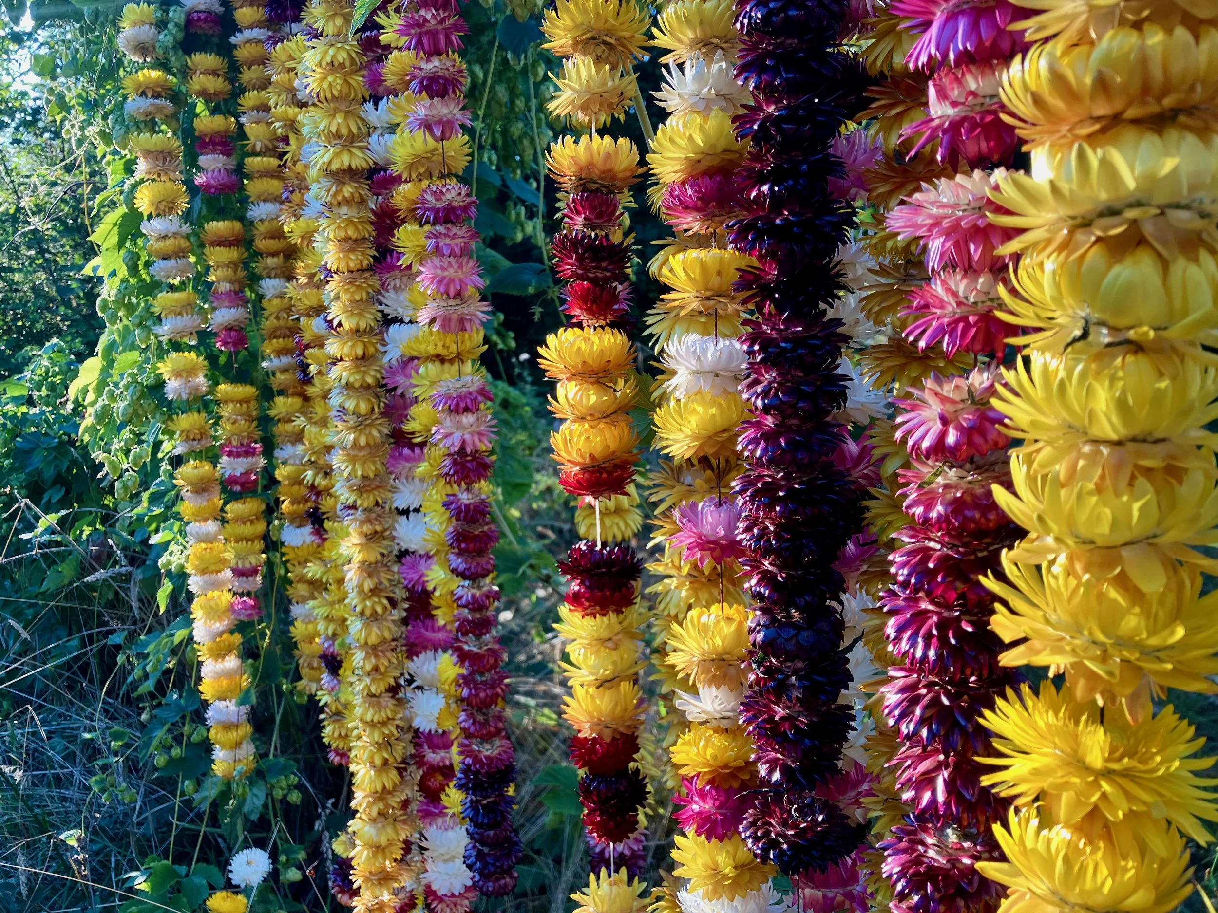 Strawflower Garland Workshop