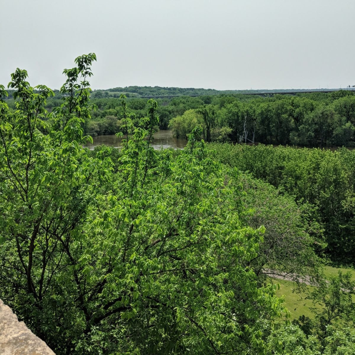 image of a distant mississippi river with green trees in the foreground