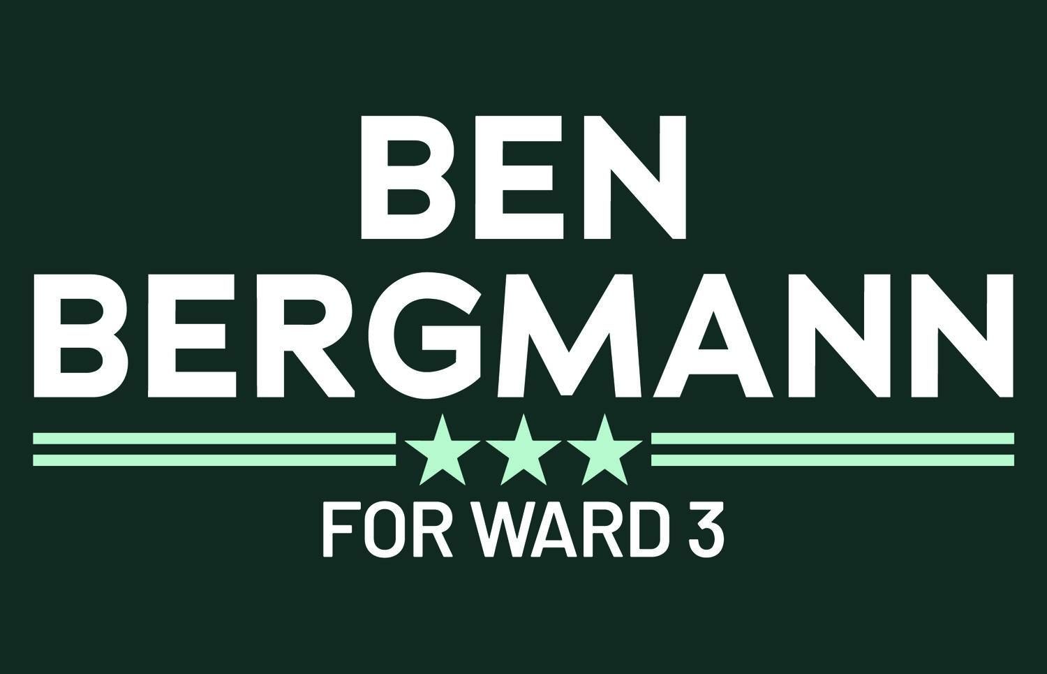 Ben Bergmann for Ward 3