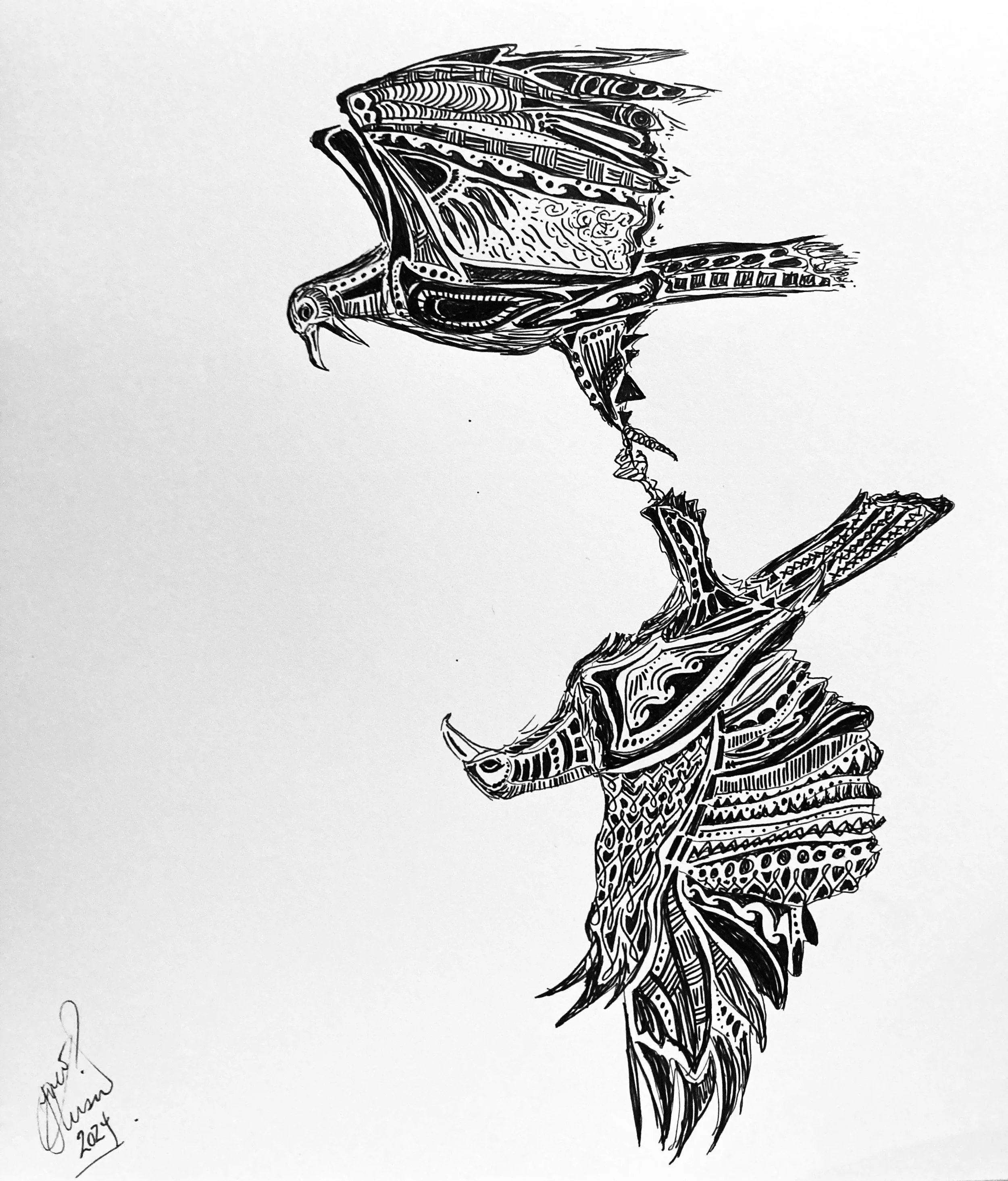 'Daredevil dance'. Ink on paper. 2024. 10 x 8 inches. The daredevil dance is a courtship ritual performed by eagles: they rise, lock talons, and cartwheel through the sky at break-neck speeds, releasing each other before hitting the ground in instant