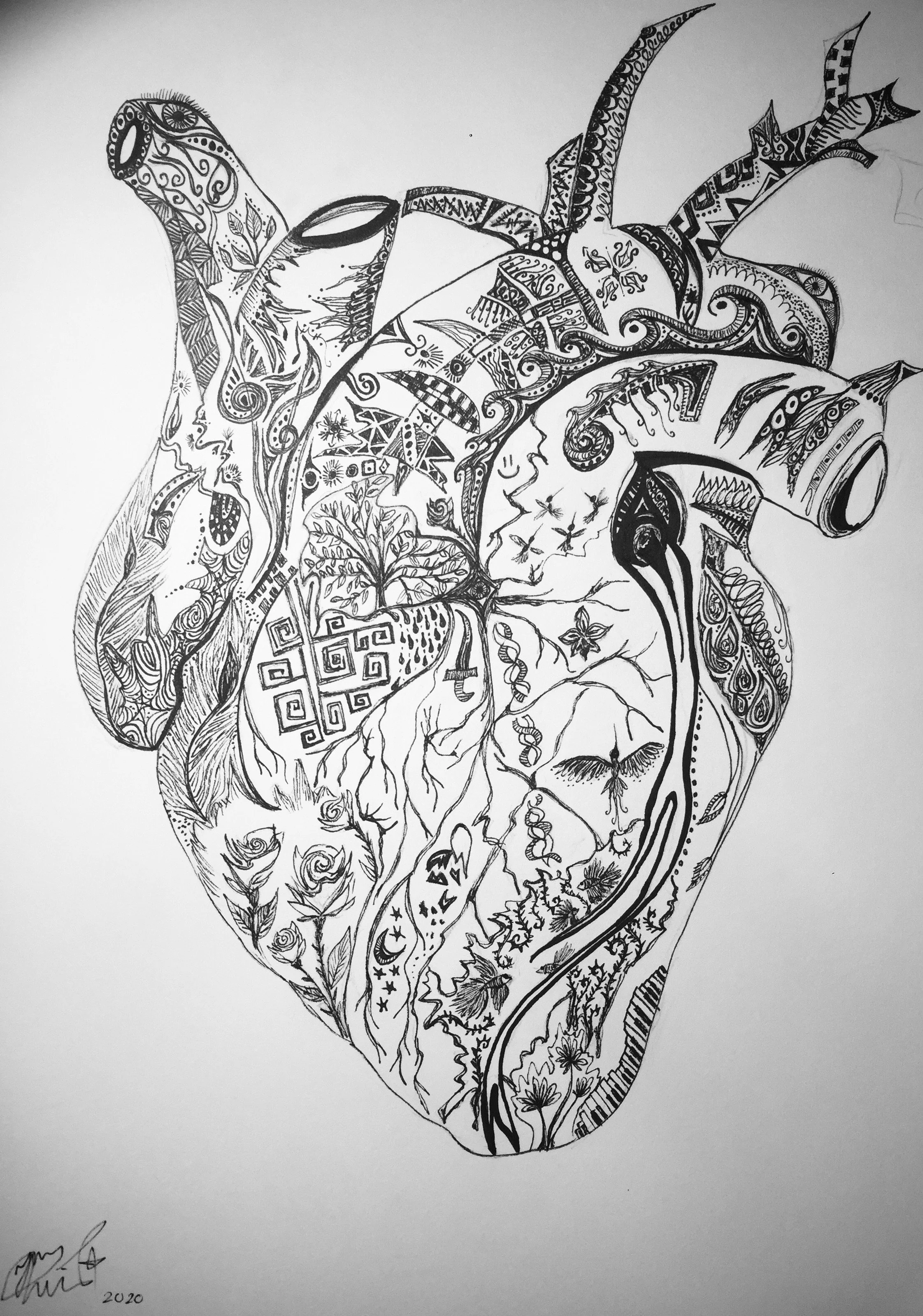 'Beating' for Amber Malik. Ink on paper. 2020. 11 x 14 inches. Accompanies article: “Traumatic experiences make you realize that you are just a mammal”: A student perspective (February 2021).