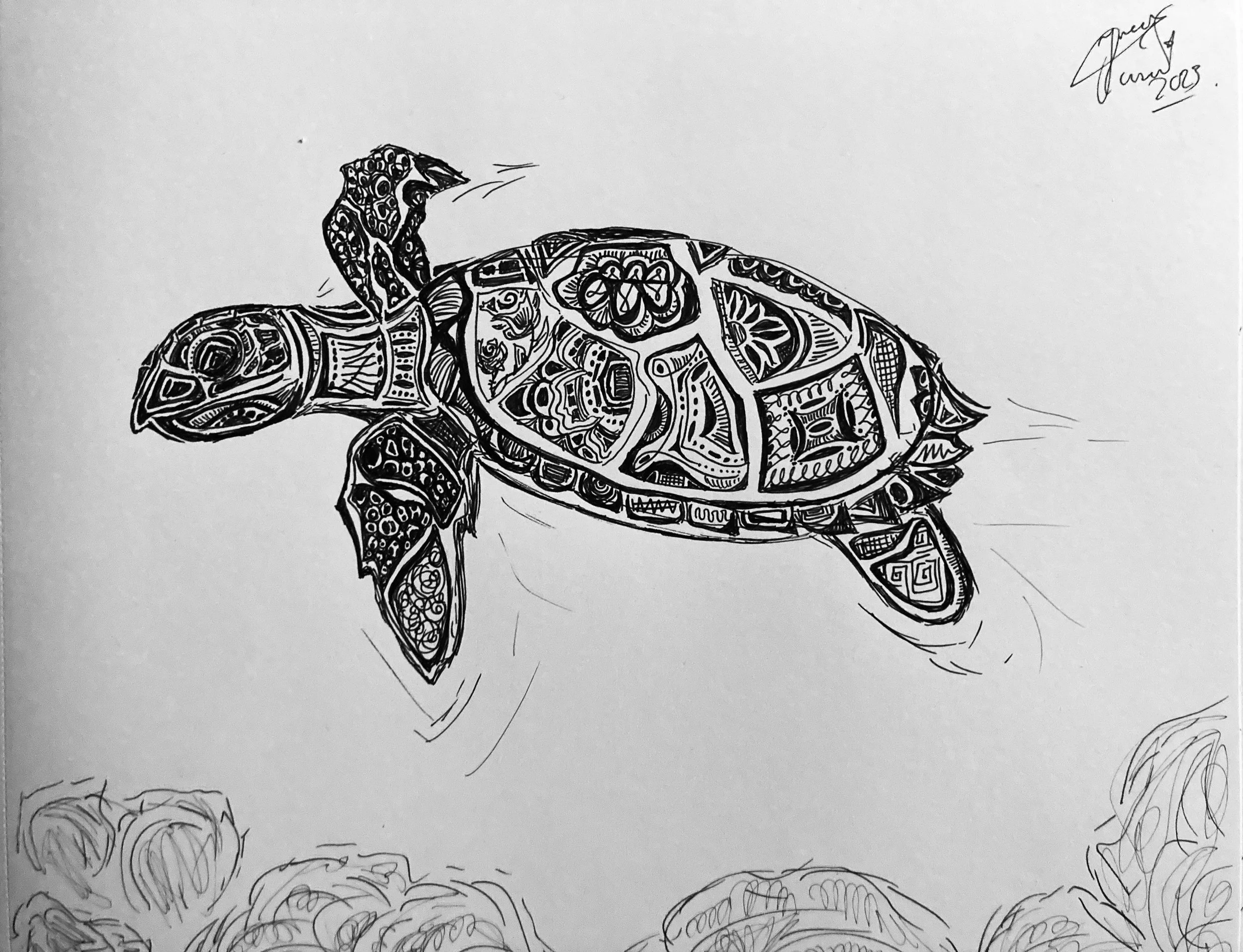 'Sea turtle' for Guinevere Santaguida. Ink on paper. 2023. 10 x 8 inches. 
