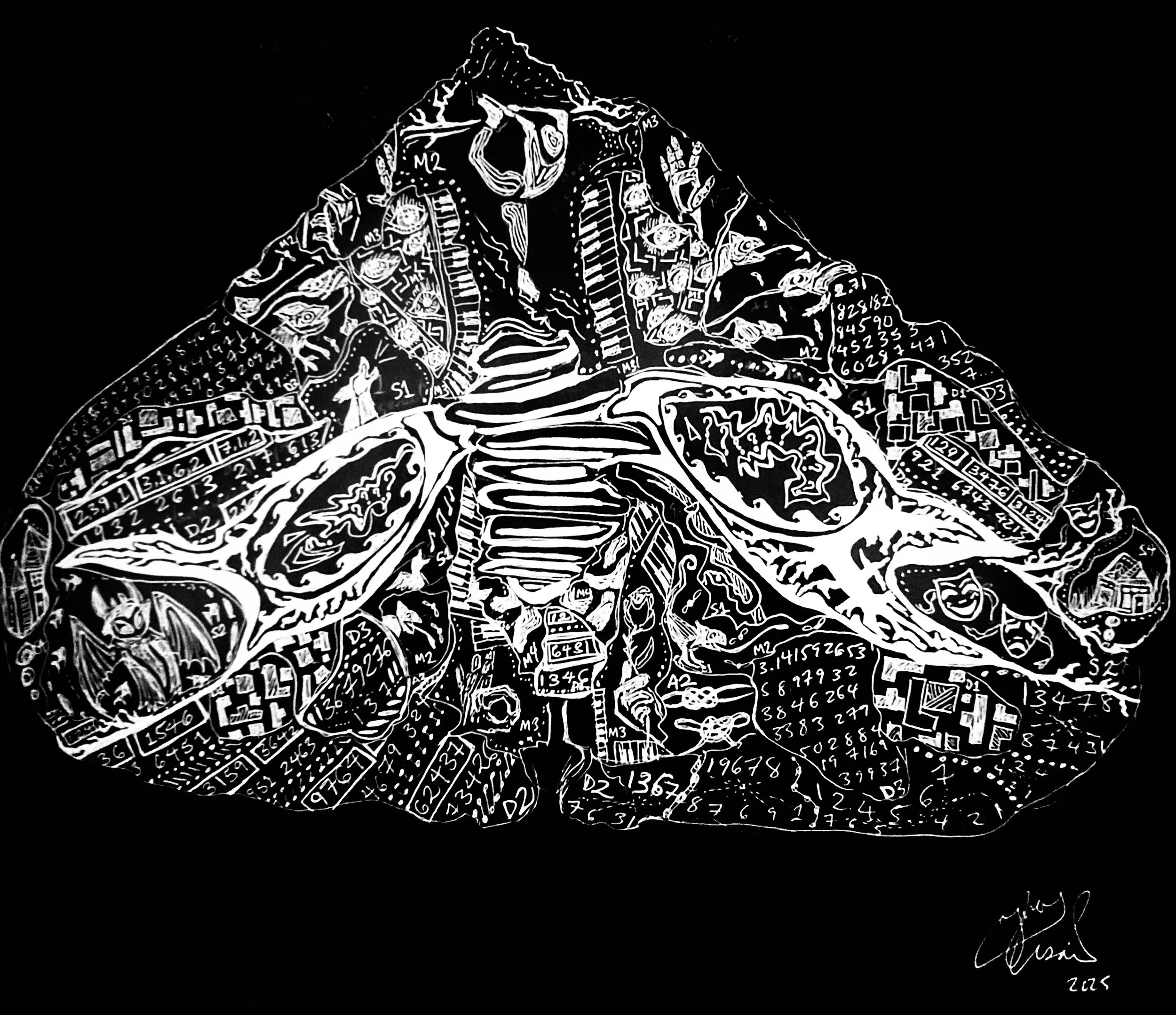 The Cerebellum
