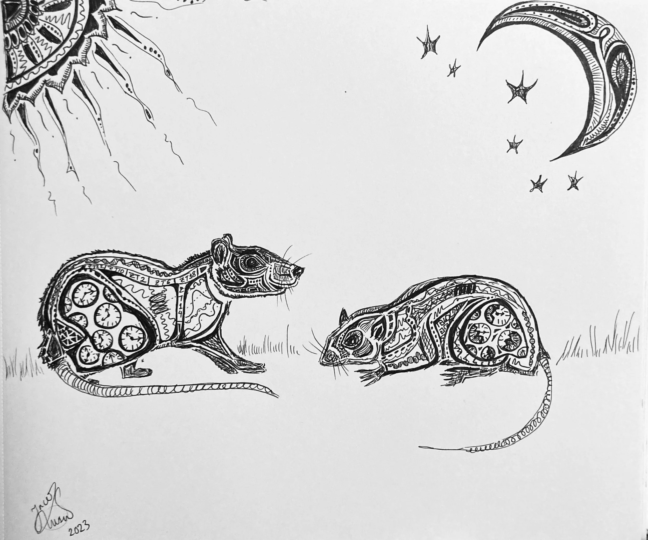 'Circadian rhythms' for Scott Deibel. Ink on paper. 2023. 11 x 14 inches. Inspired by my honours thesis and the rats lost to circadian rhythms research