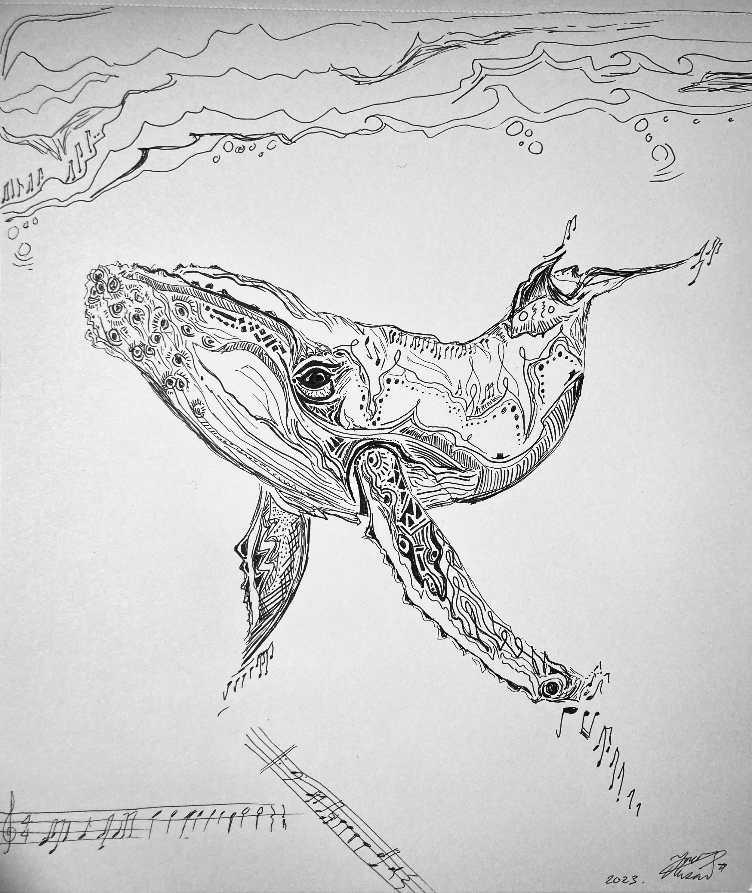 'Whale songs' for Maryam Mohammed. Ink on paper. 2023. 10 x 8 inches. 