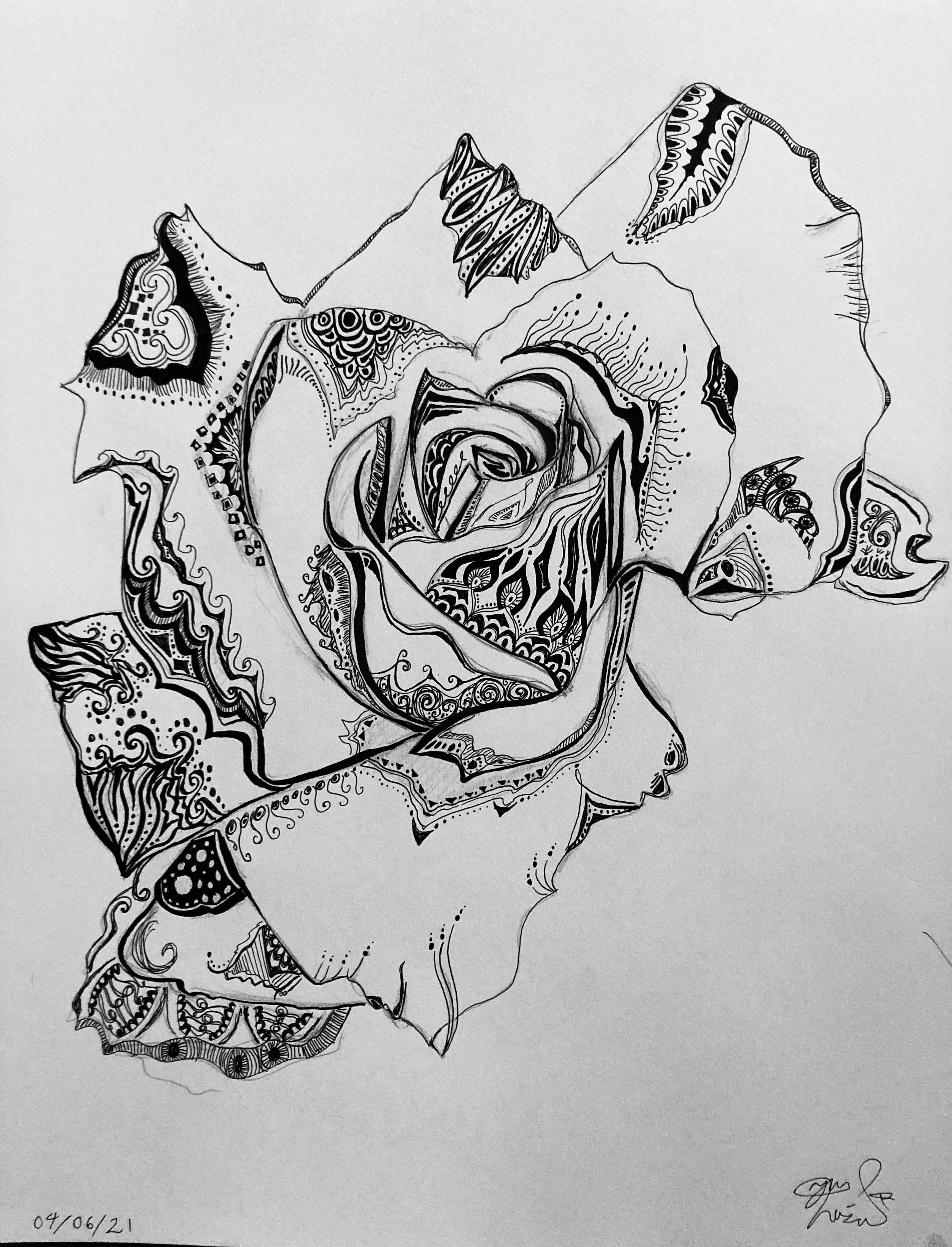 'A rose by another name'. Ink on paper. 2021. 11 x 14 inches. SOLD $85. 