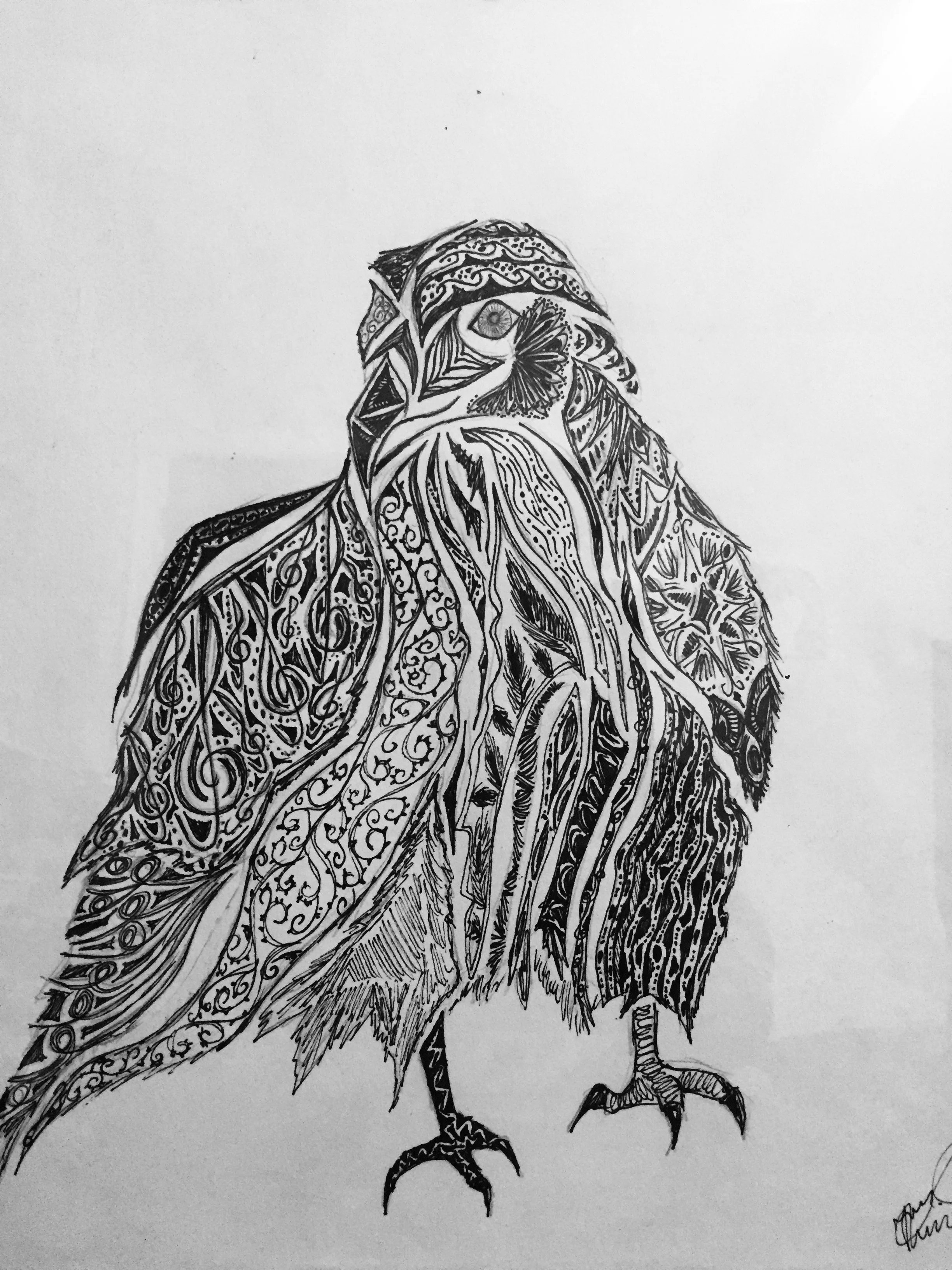 'Parvaz'. Ink on paper. 2019. 11 x 14 inches. 