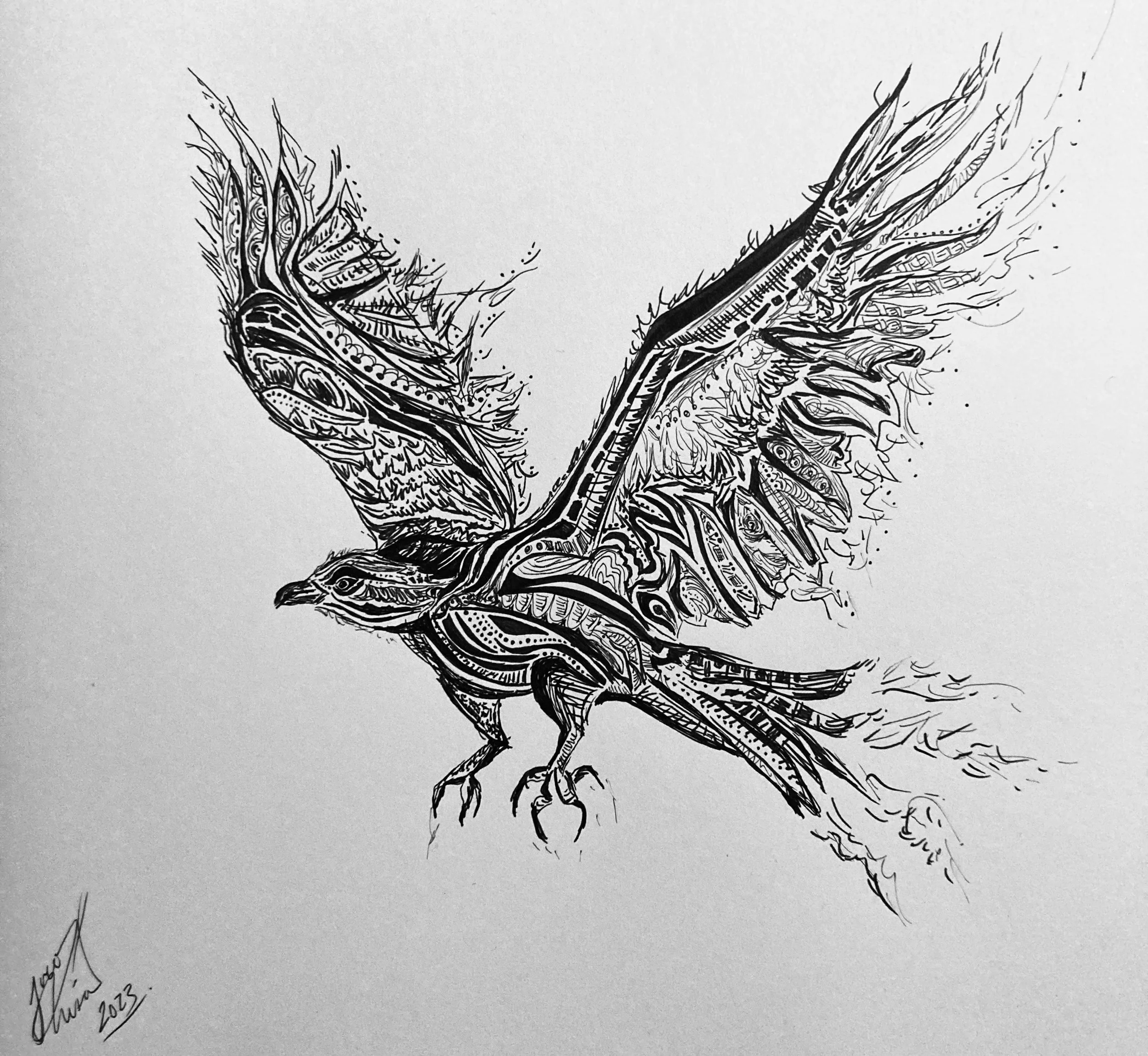 'Phoenix' for Amir Ayati. Ink on paper. 2023. 10 x 9 inches. My process was to draw from a photo of an osprey and then let my hand tremble while I drew to have the flames emerge naturally and turbulently 
