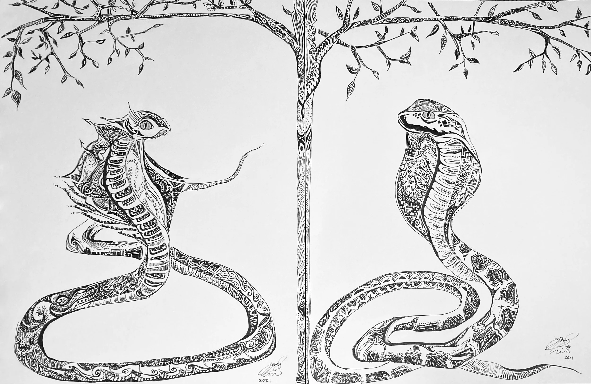 'Charmed' by each other. Ink on paper. Two 11 x 14 inch pieces. 
