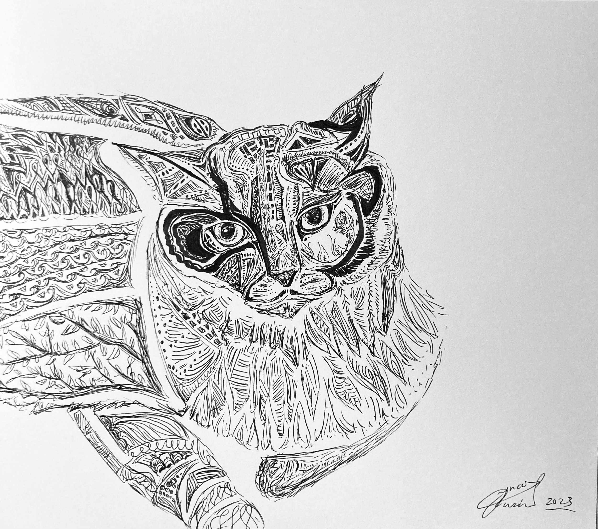 'Domesticated?'/ 'Snowy the ragdoll'. Ink on paper. 2023. 10 x 9 inches. SOLD $70 at Isaac's Way Restaurant.   