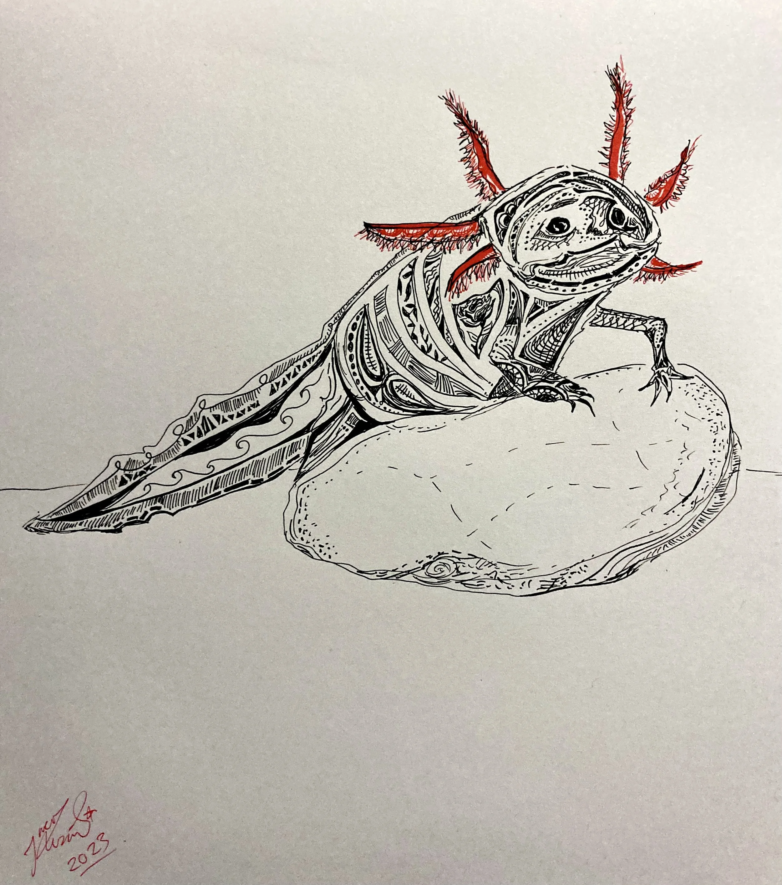 'Naive' (Axolotl). Ink on paper. 2023. 10 x 9 inches. SOLD $65. 