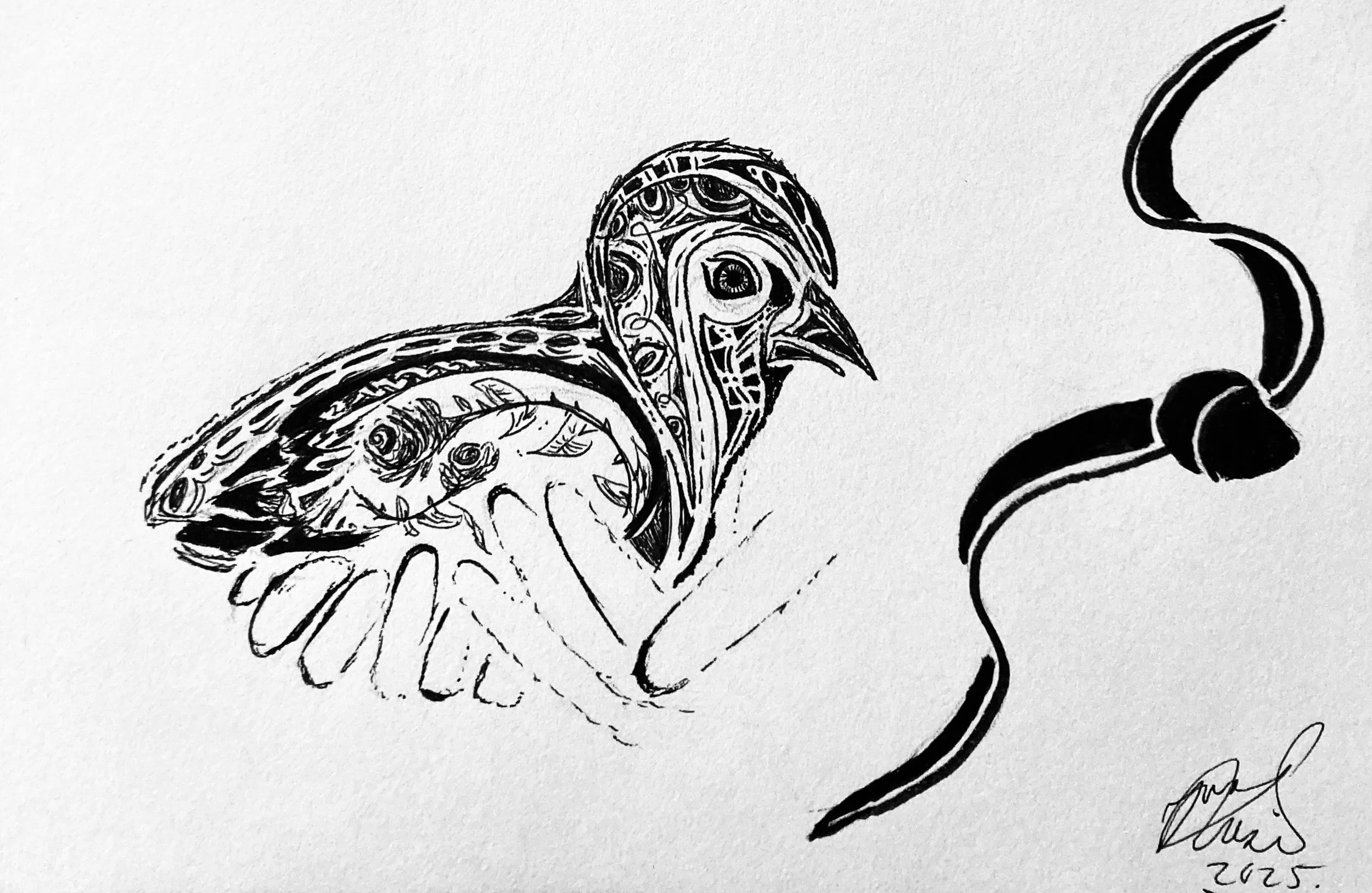 For Alice Tan. Ink on paper. 2025. 6 x 8 inches. From a photo of Cluck Norris, one of Alice's chickens 