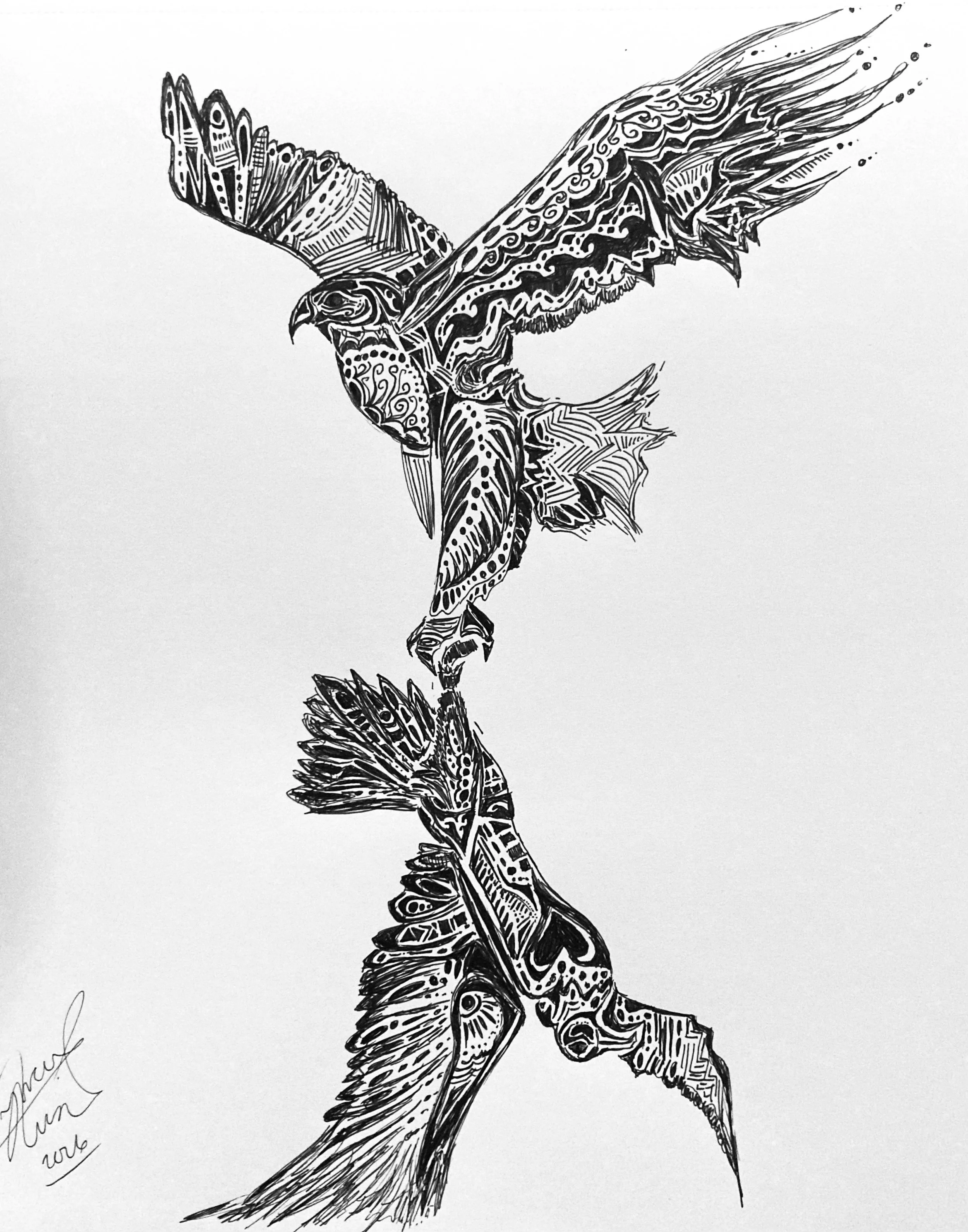 'Daredevil dance renewal'. Ink on paper. 2026. 10 x 8 inches. The daredevil dance is a courtship ritual performed by eagles: they rise, lock talons, and cartwheel through the sky at break-neck speeds, releasing each other before hitting the ground in