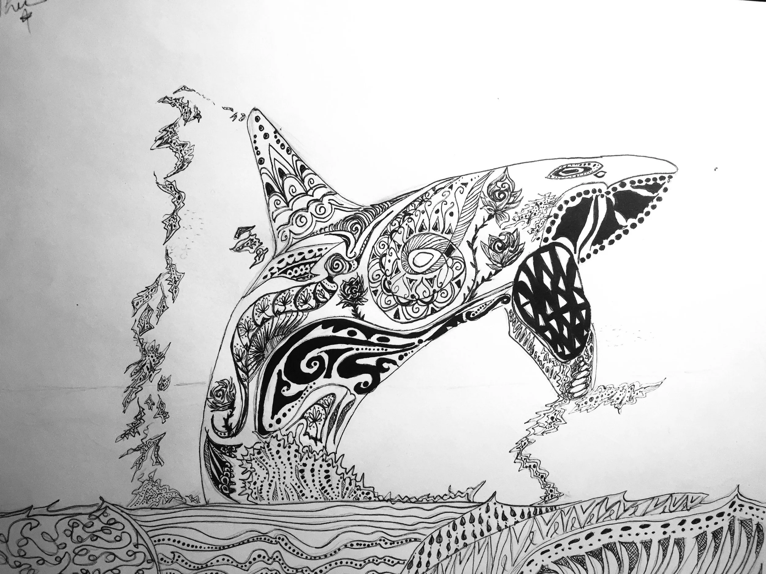 'Orca'. Ink on paper. 2020. 11 x 14 inches. 