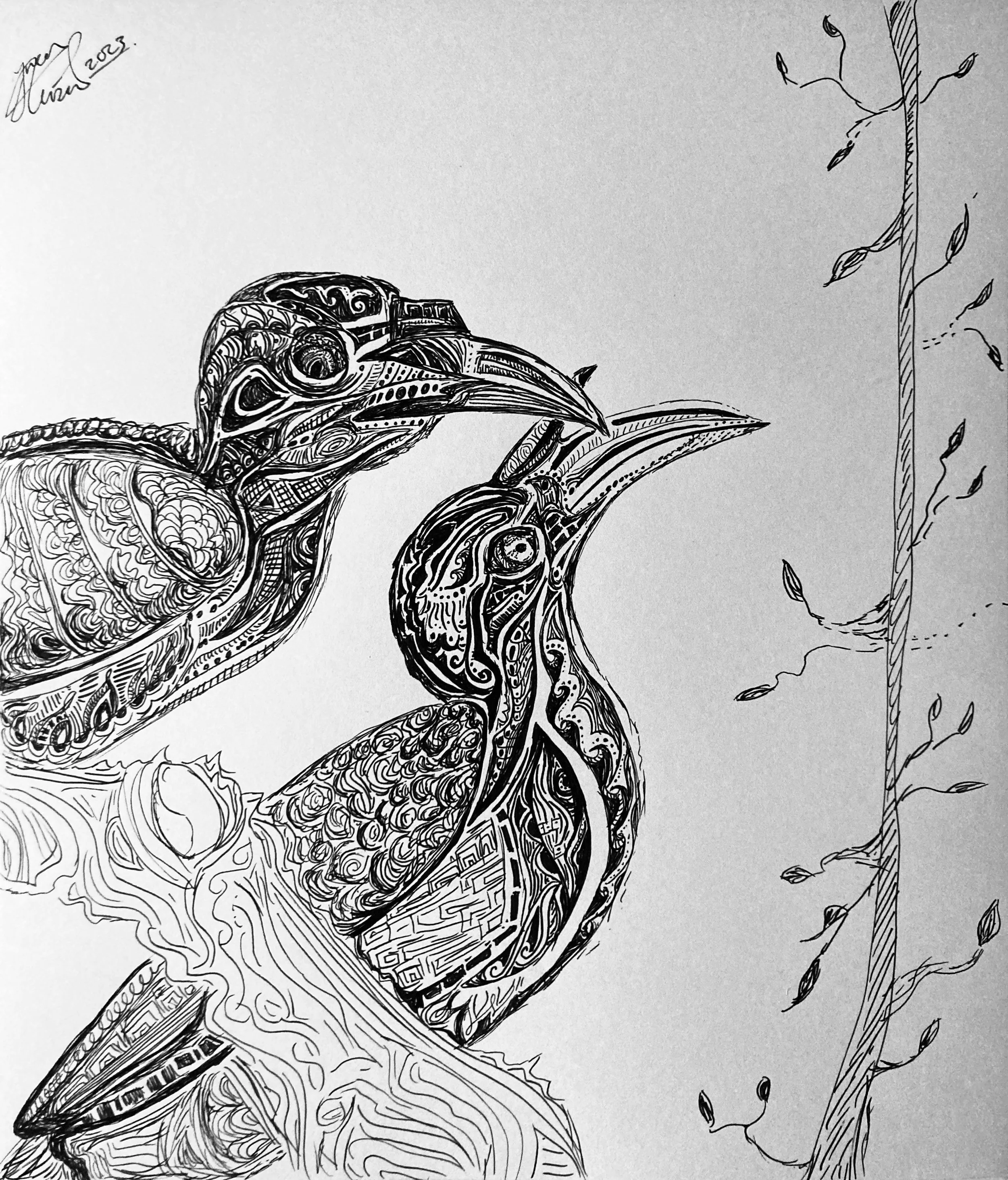 'We can share'. Ink on paper. 2023. 10 x 9 inches. Accompanies journal entry 'How will the hornbills fly?'. 
